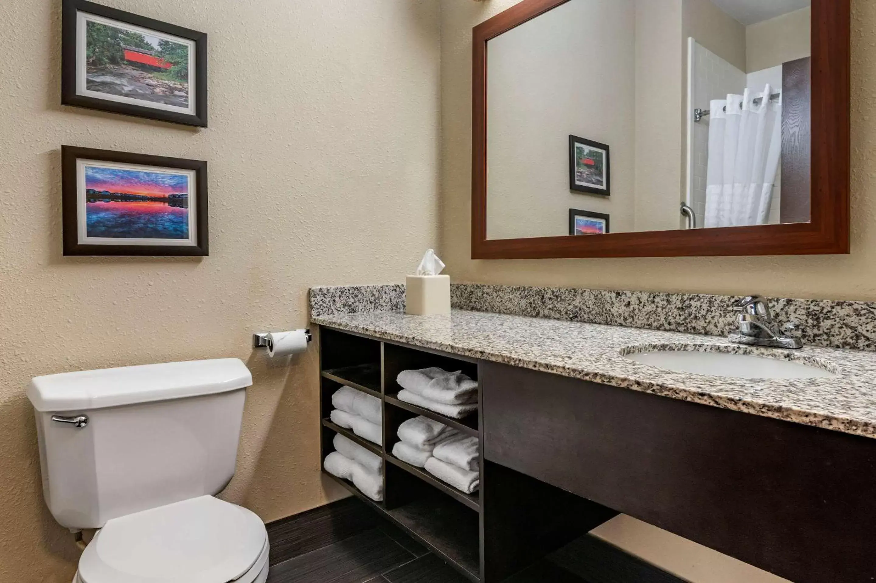 Bathroom in Comfort Inn Shelbyville North