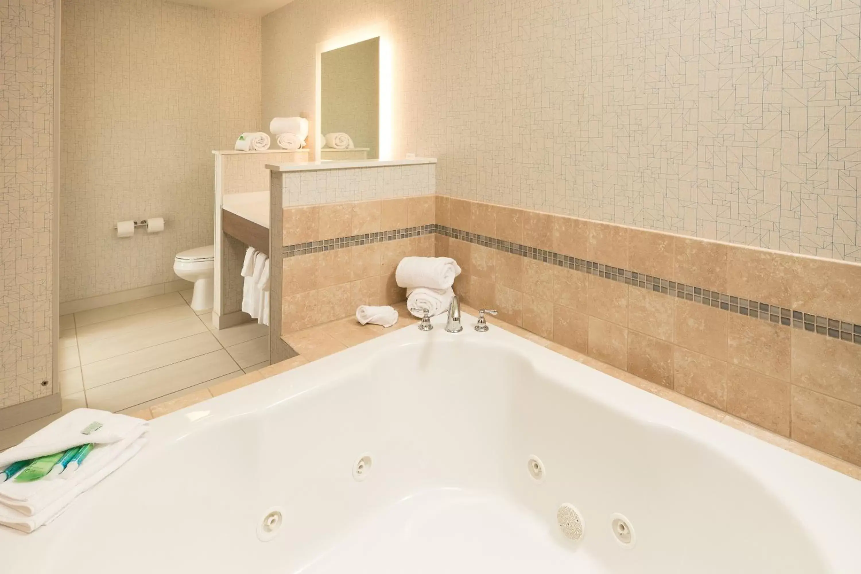 Photo of the whole room, Bathroom in Holiday Inn Express & Suites - Portage, an IHG Hotel