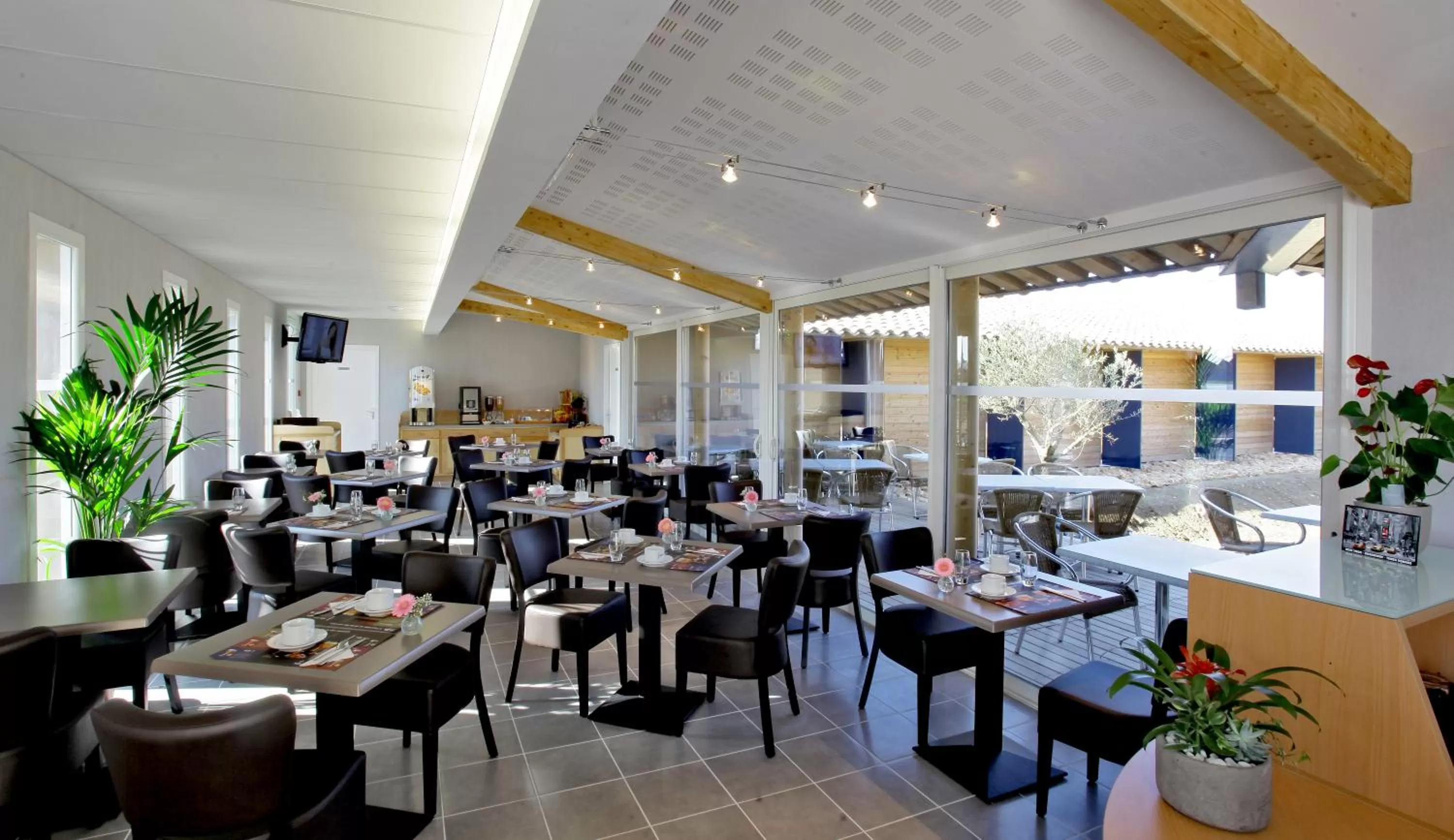 Animals in The Originals City, Hôtel Albizia, Sarlat-la-Canéda