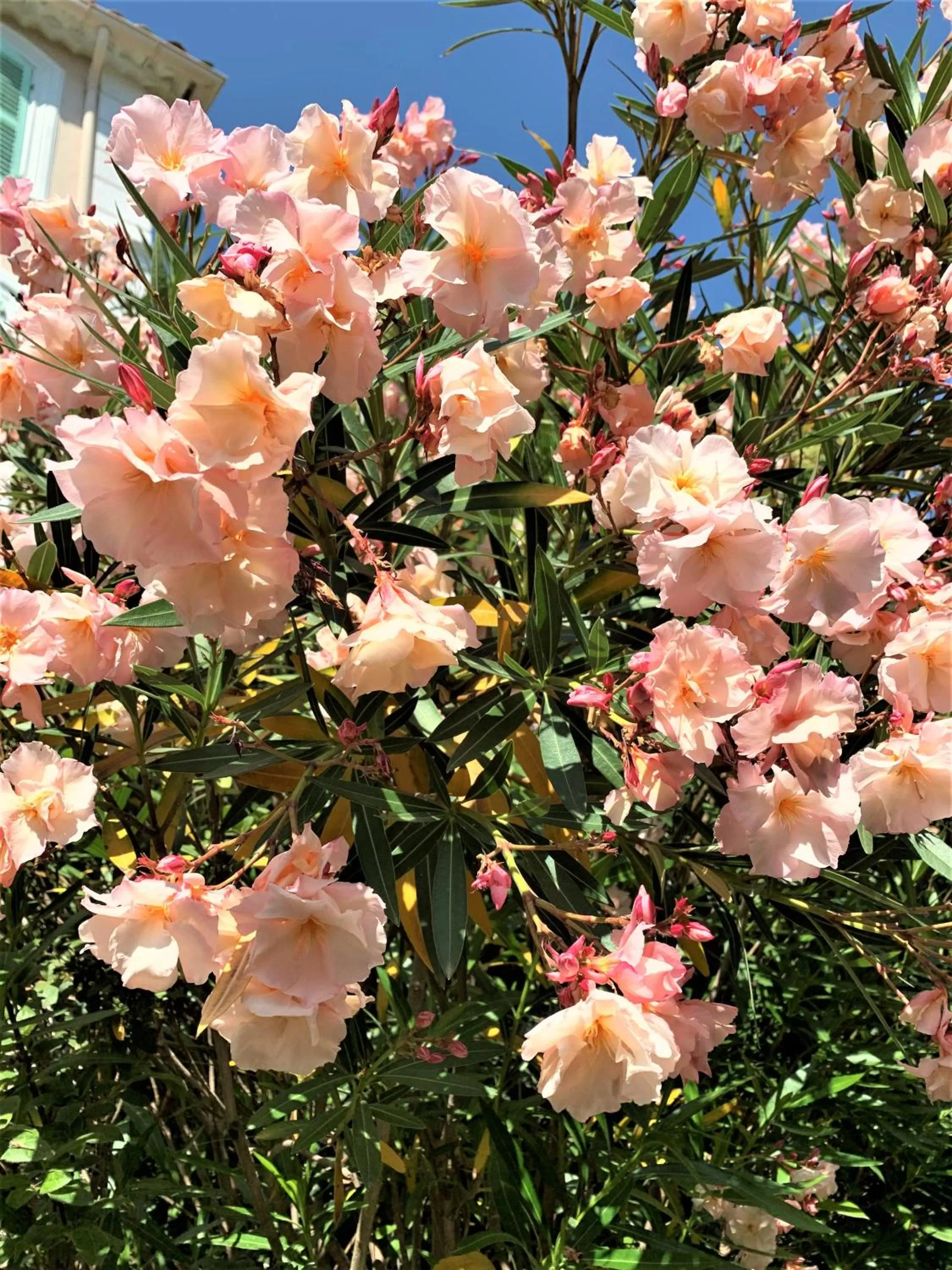 Natural landscape in Domaine de l'Aufrene