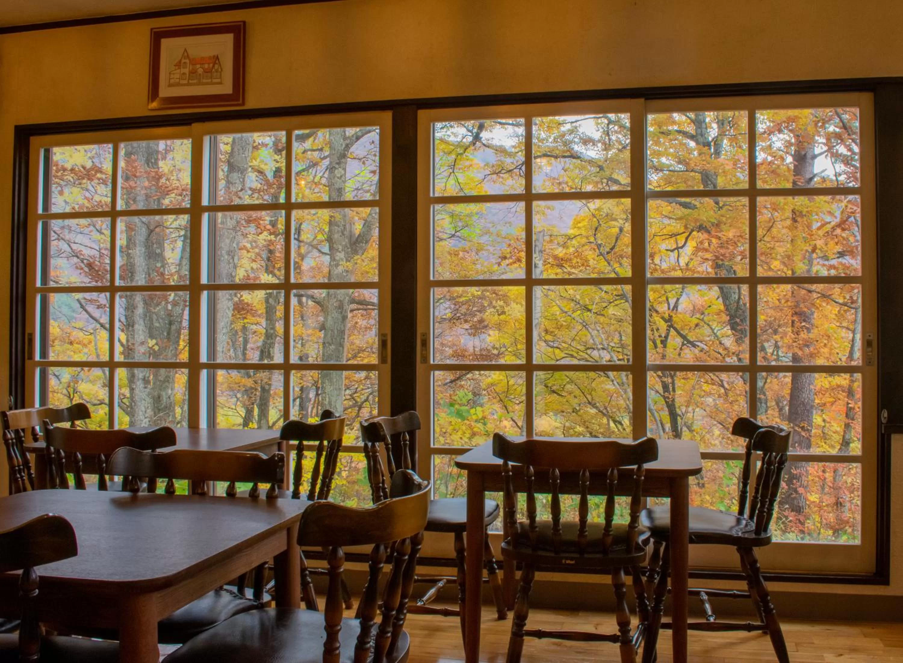 Panketo Lodge & Yoga Studio