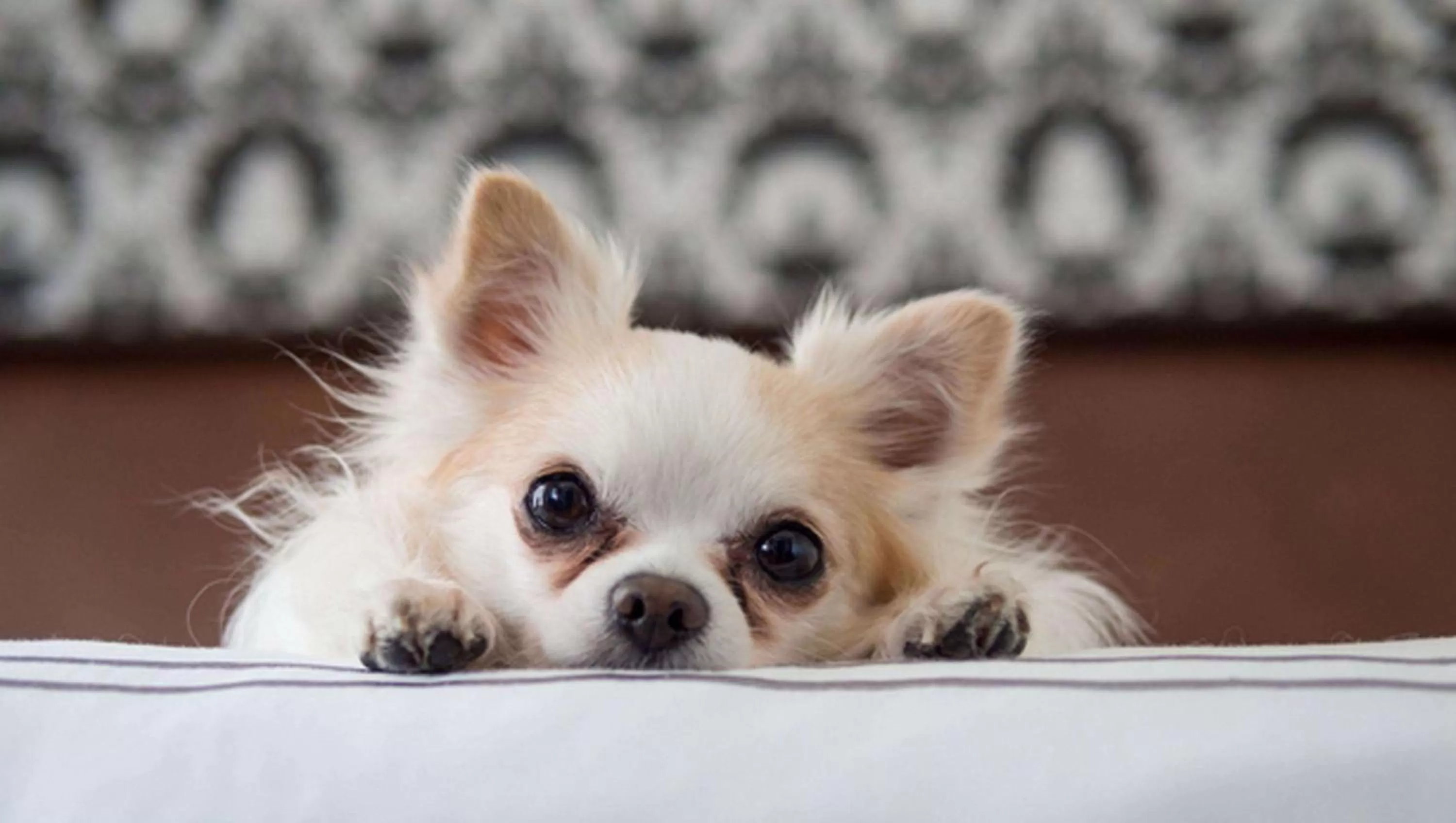 Other in Motel Forrest Rockville