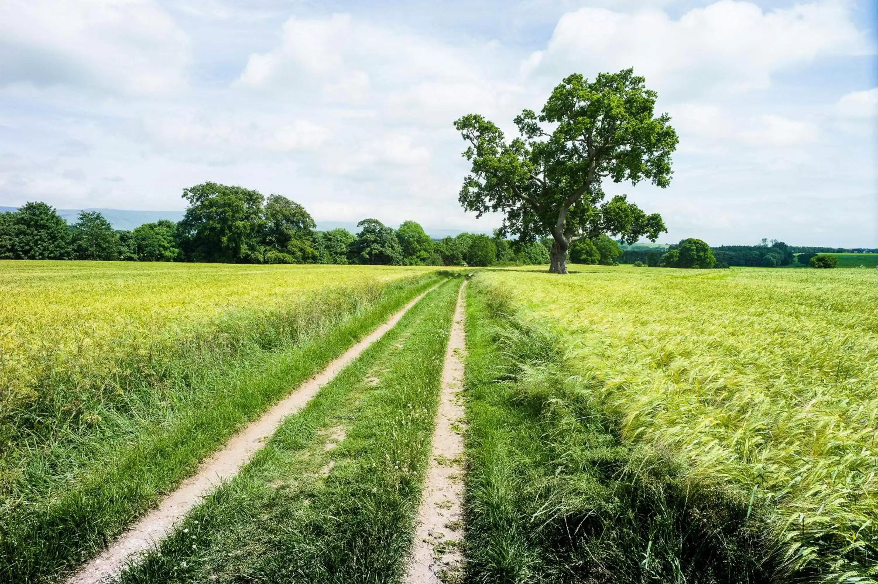 Natural landscape in Edenhall Country Hotel