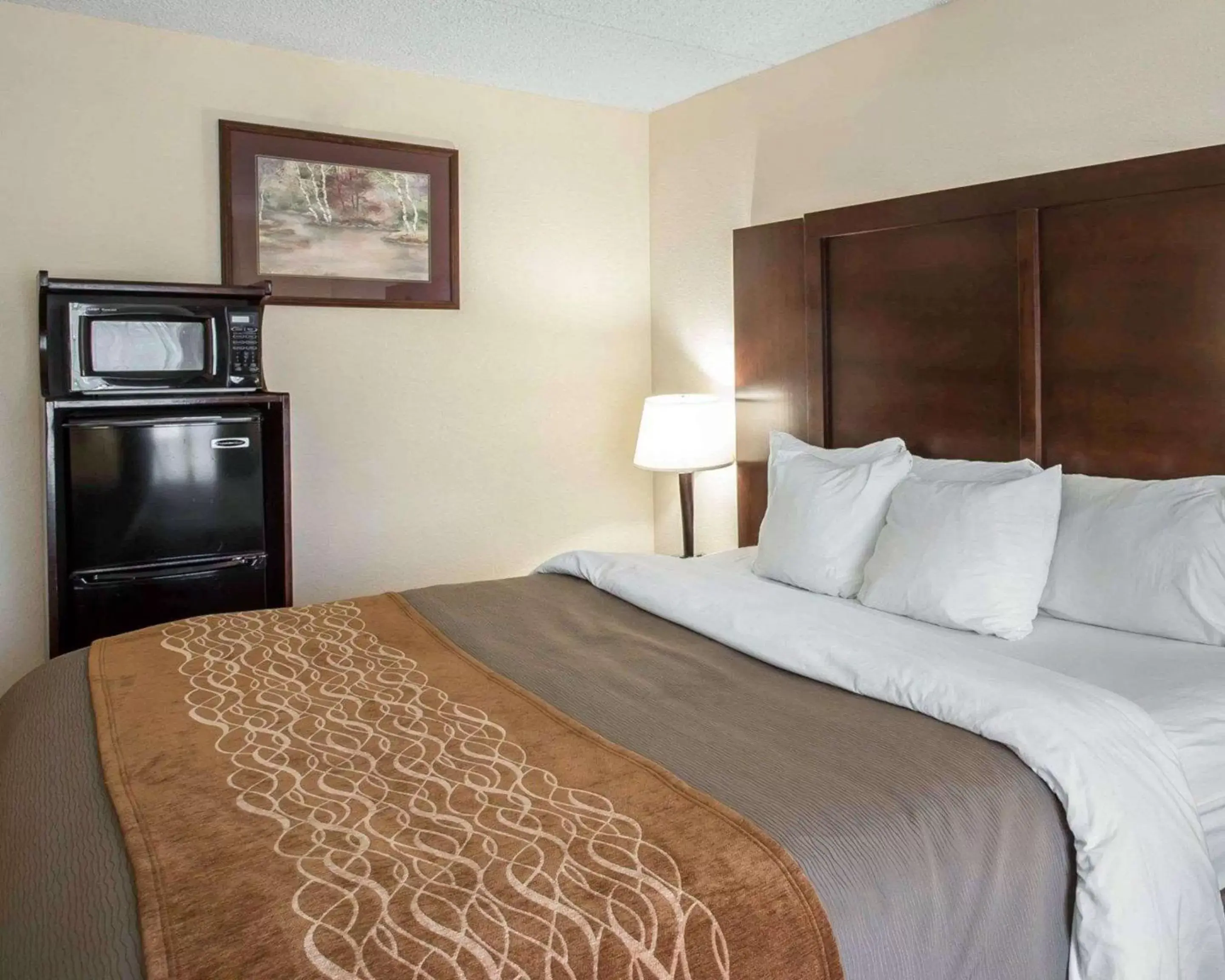 Photo of the whole room, Bed in Comfort Inn & Suites at I-85