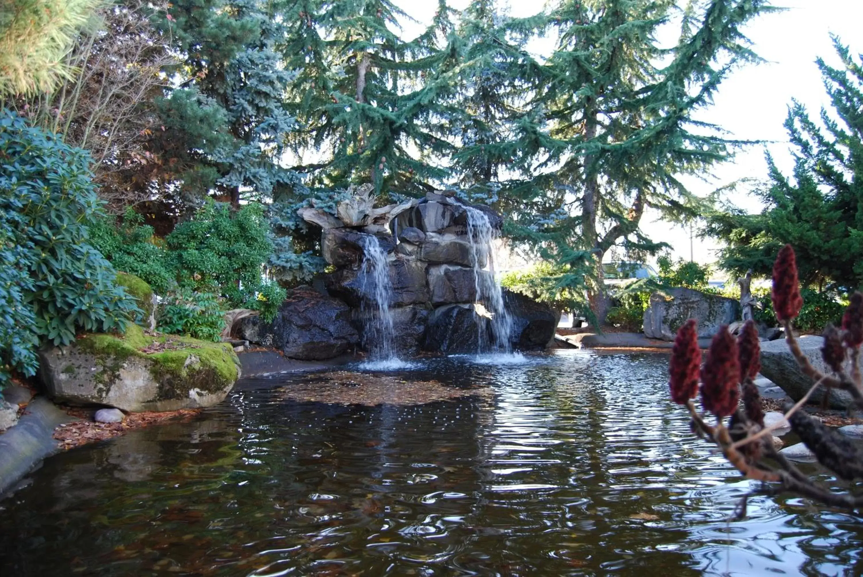 Area and facilities in Radisson Hotel Portland Airport