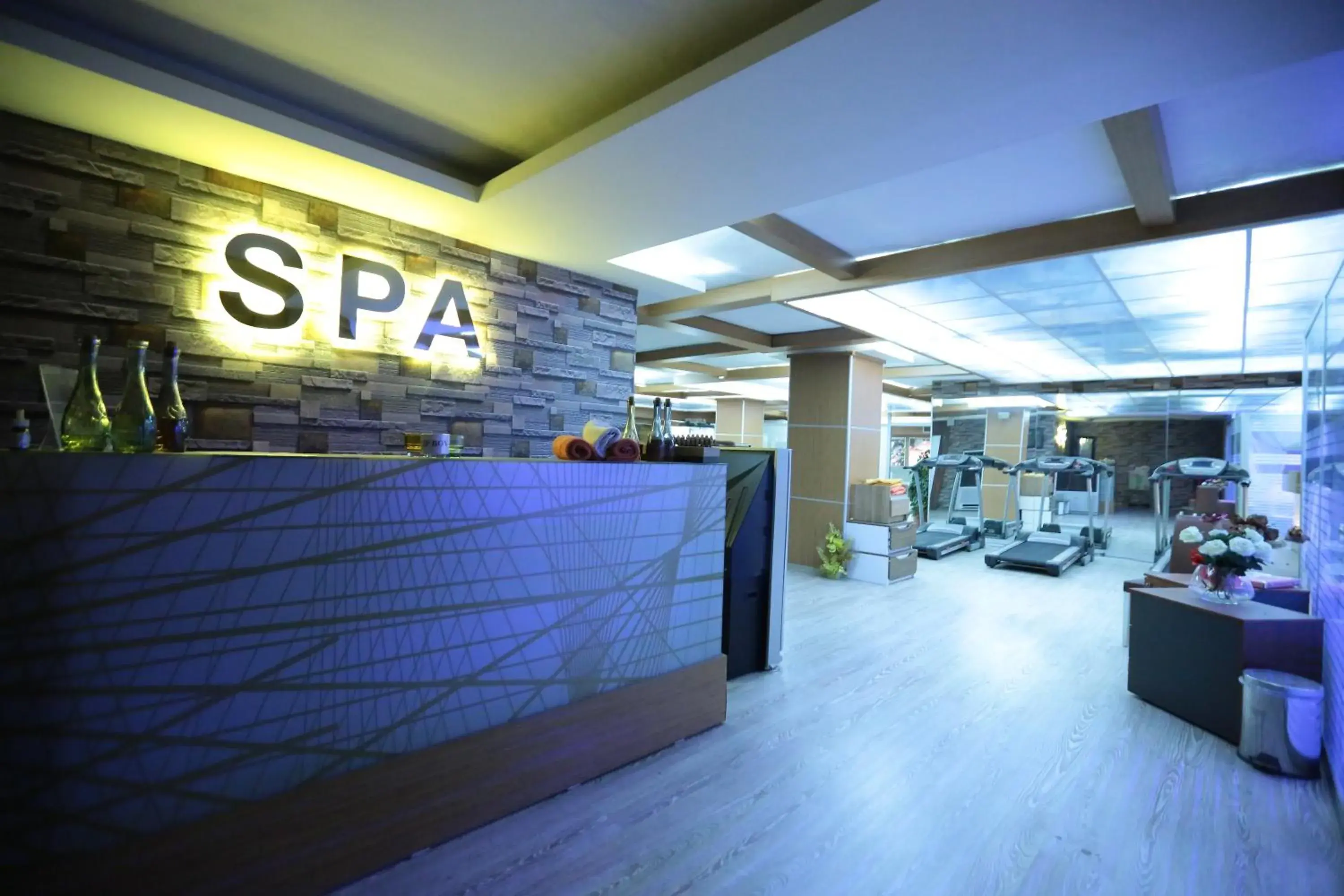 Spa and wellness centre/facilities in Bursa Palas Hotel