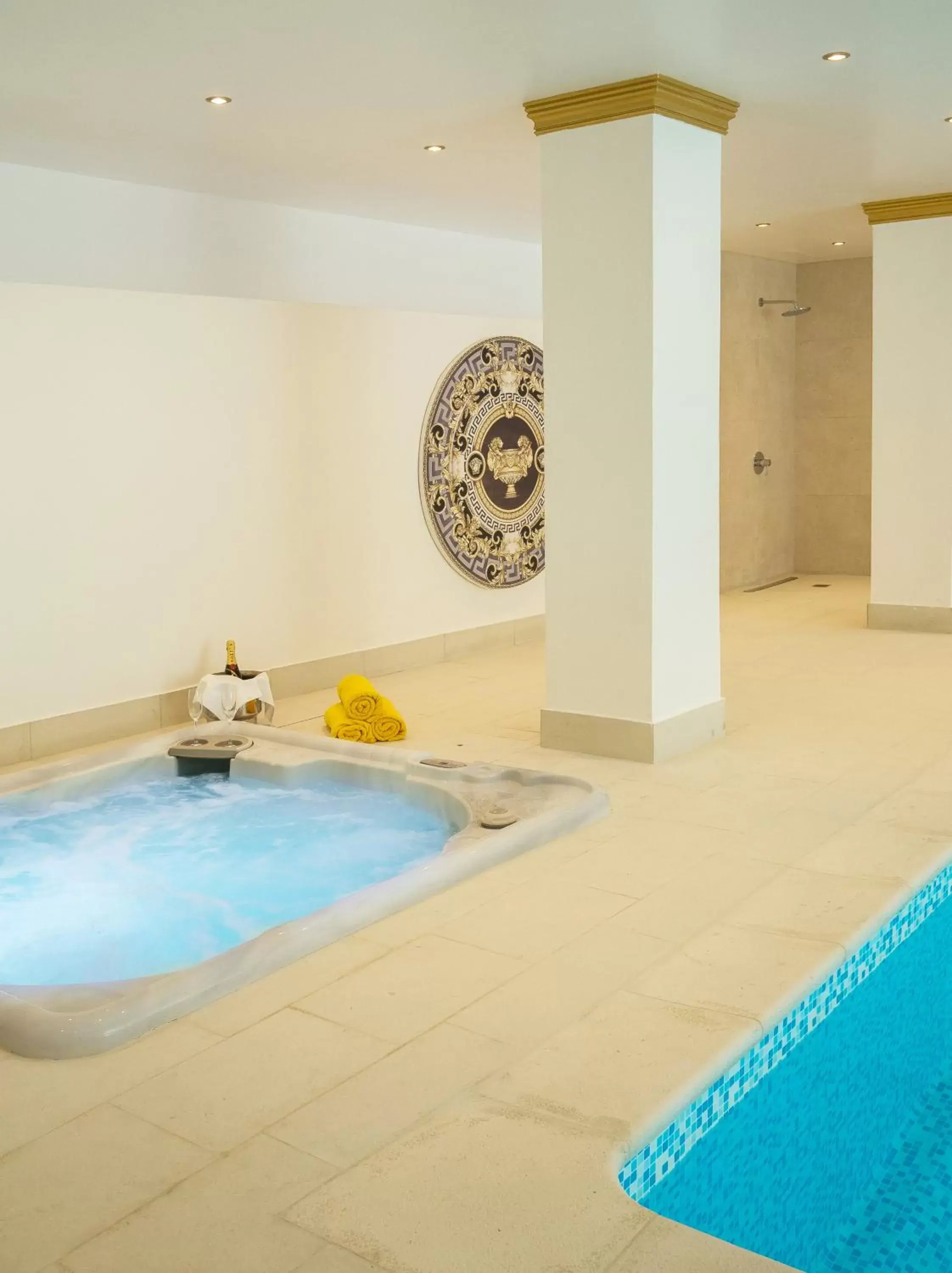 Spa and wellness centre/facilities, Swimming Pool in Theoxenia House Hotel