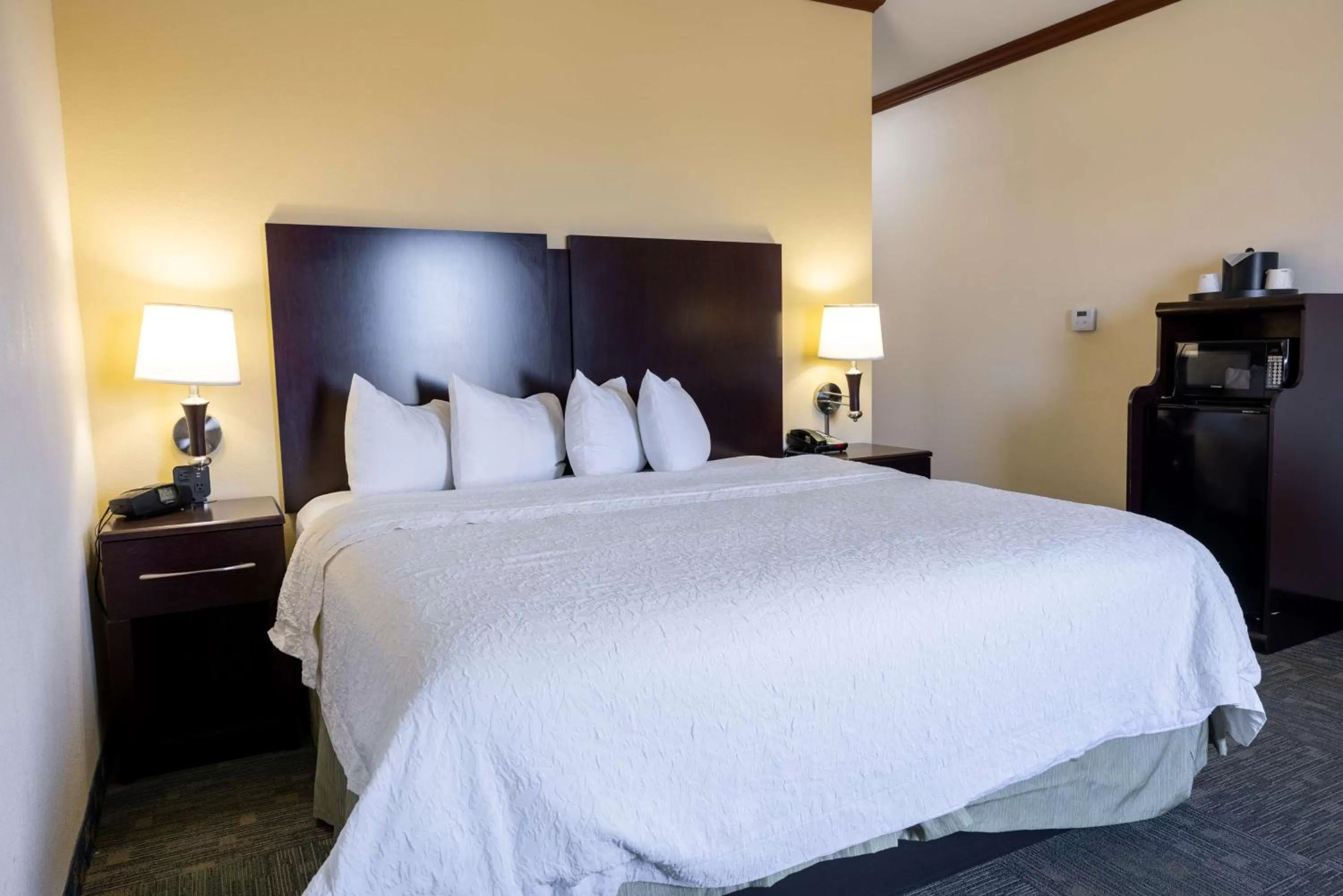 Bed in Hampton Inn Alice