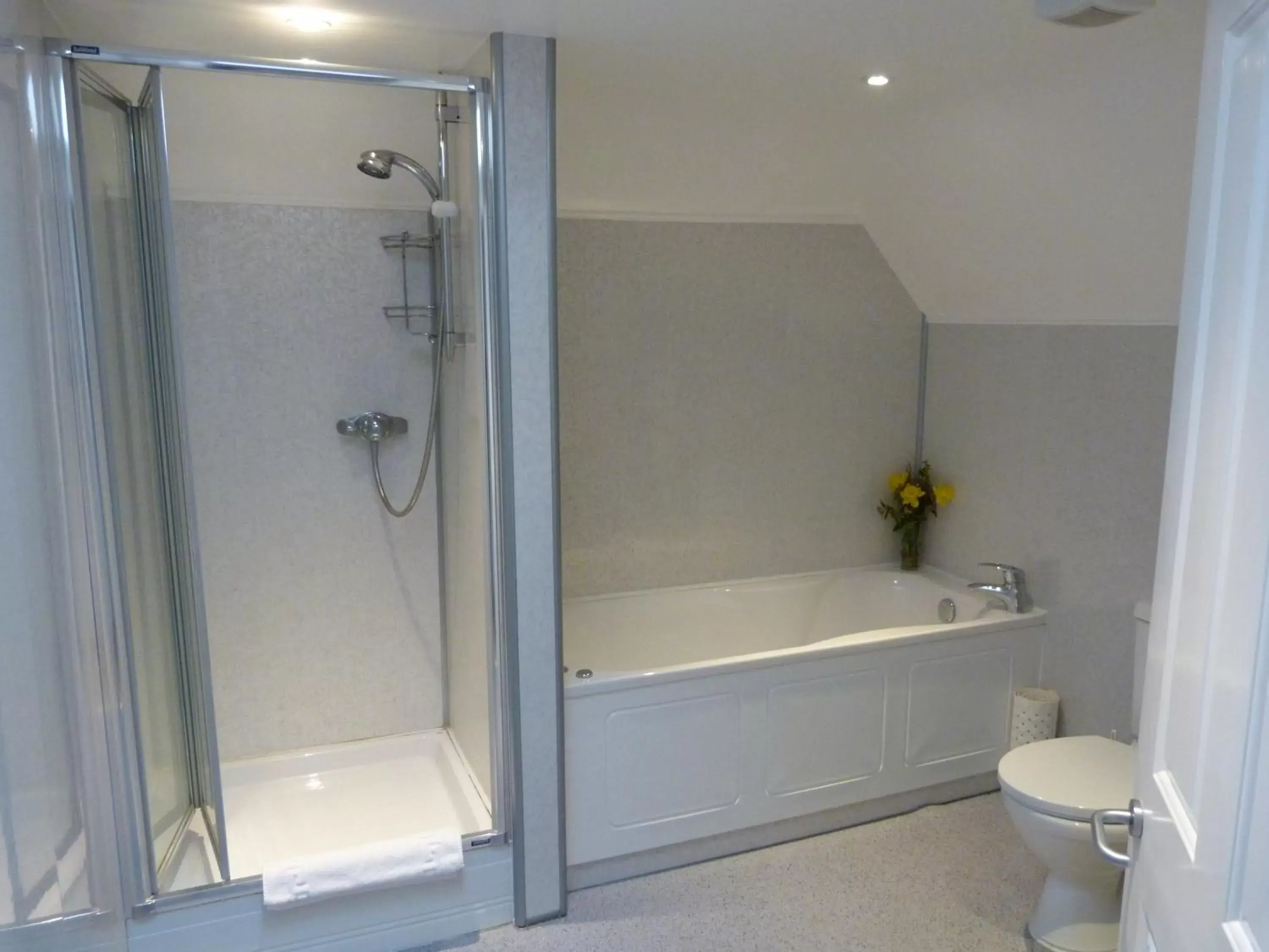 Toilet, Bathroom in Cameley Lodge - Self Catering