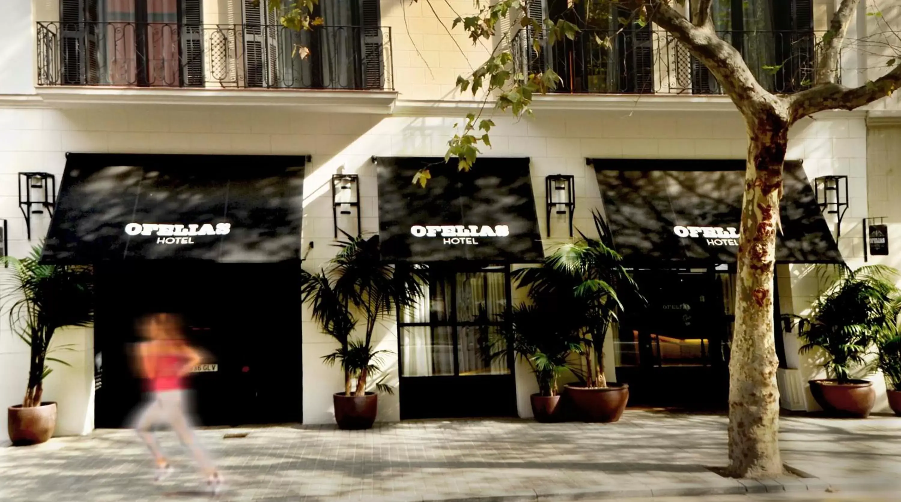 Facade/entrance in Ofelias Hotel 4Sup by Bondia Hotel Group
