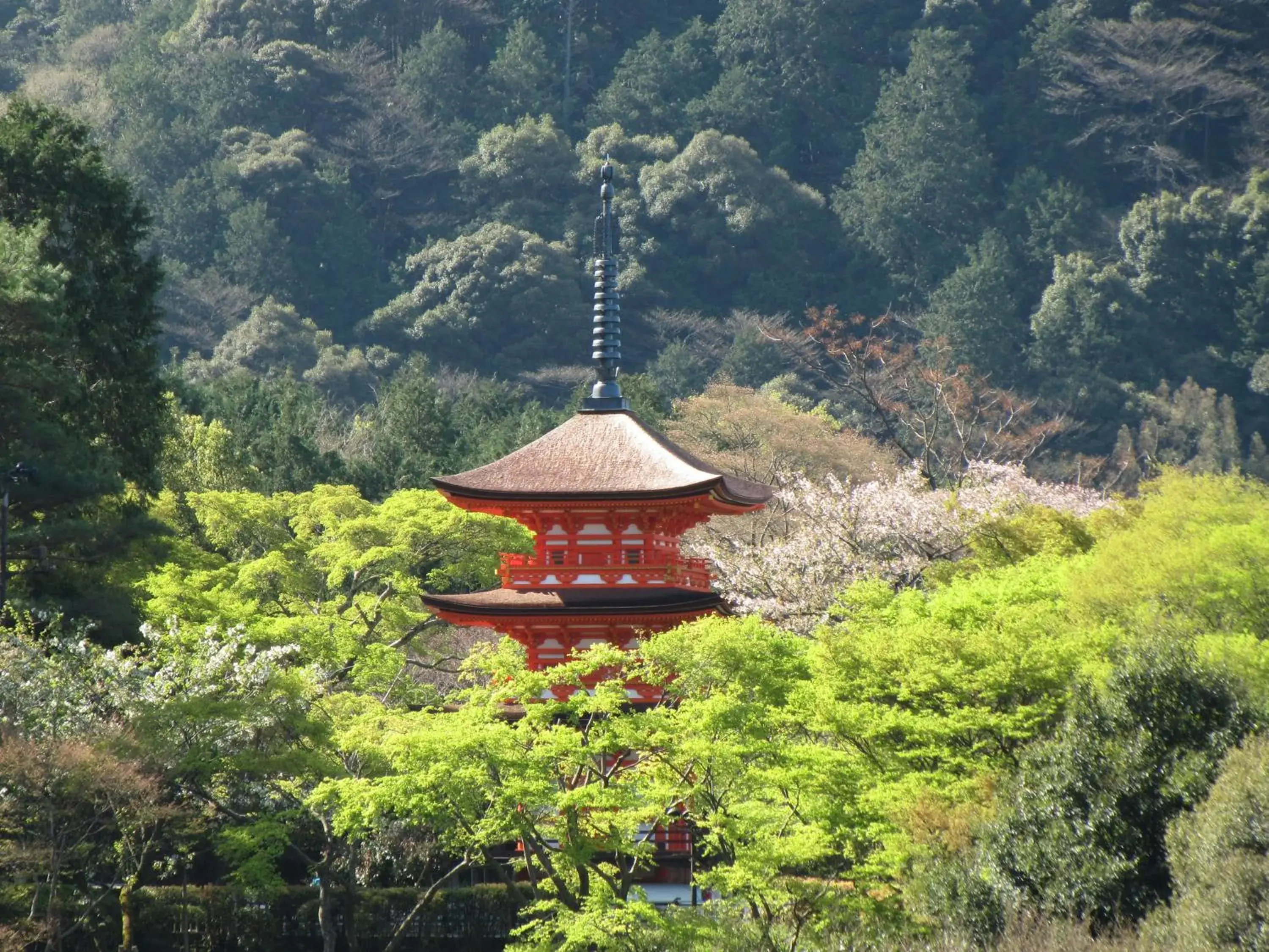 Nearby landmark in Luxury hotel SOWAKA