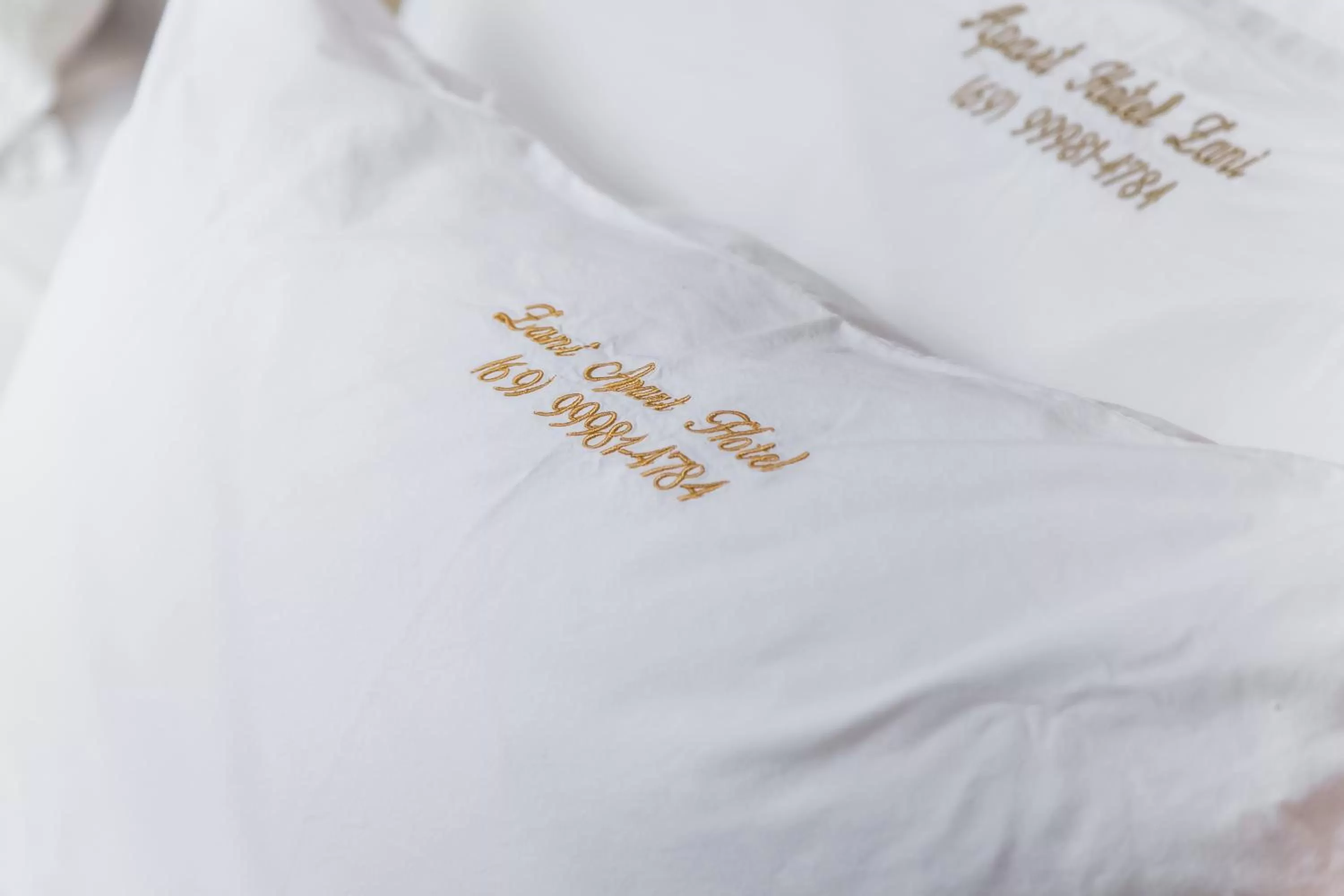 Property Logo/Sign in ZANI APART HOTEL 520i