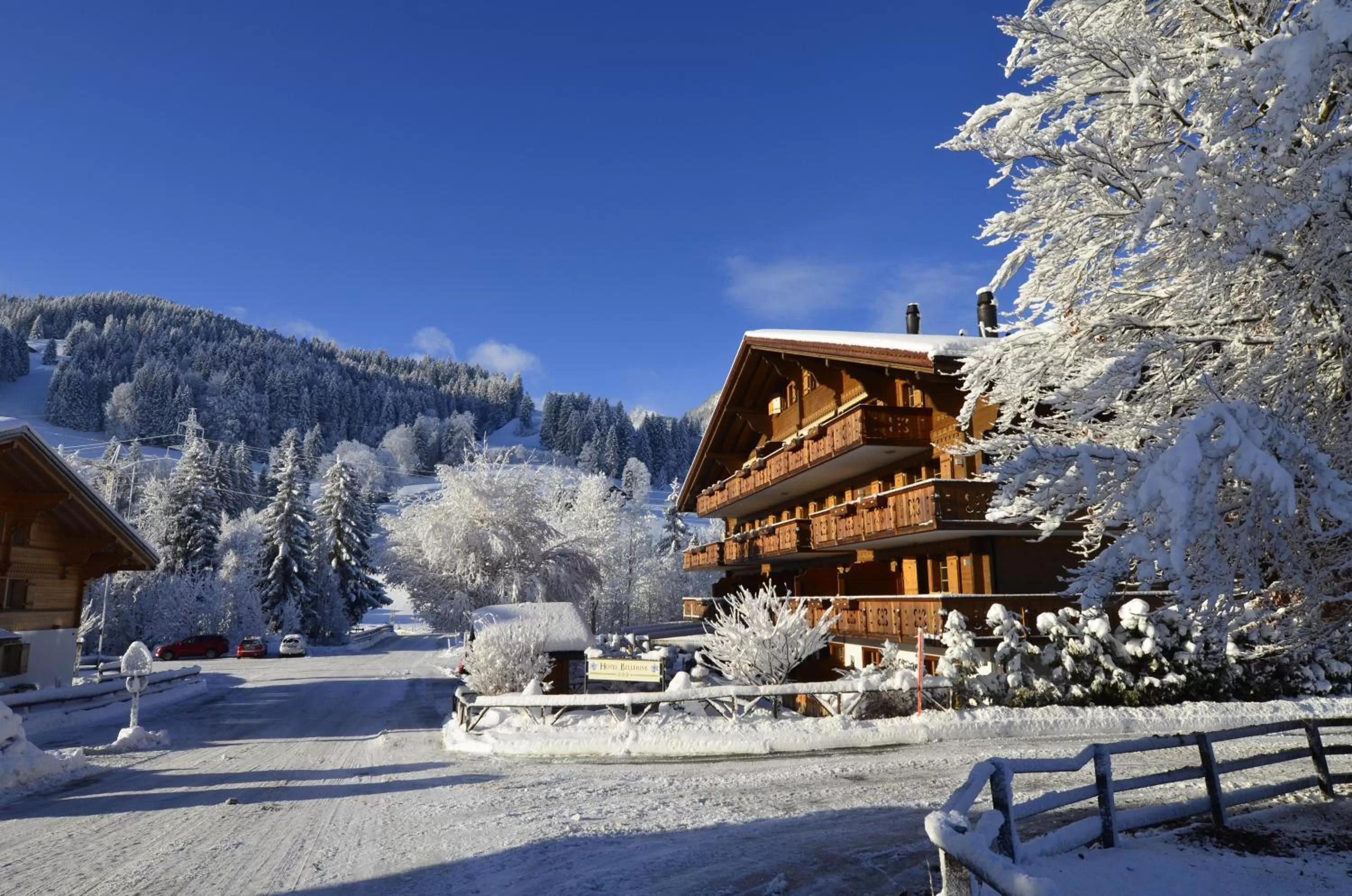 Property building, Winter in Hotel Bellerive Gstaad
