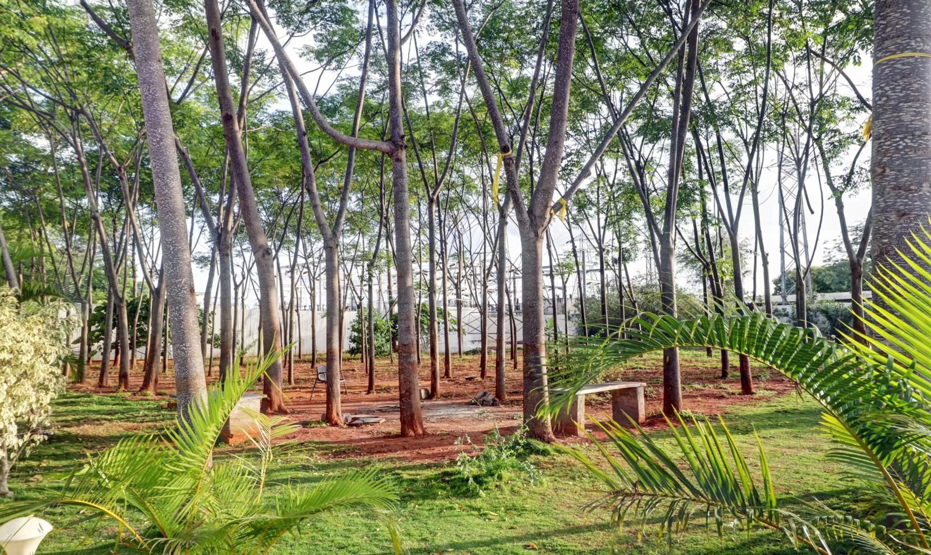 Garden in GRAND JP INN Near 2 km from Gundlupet bus stand