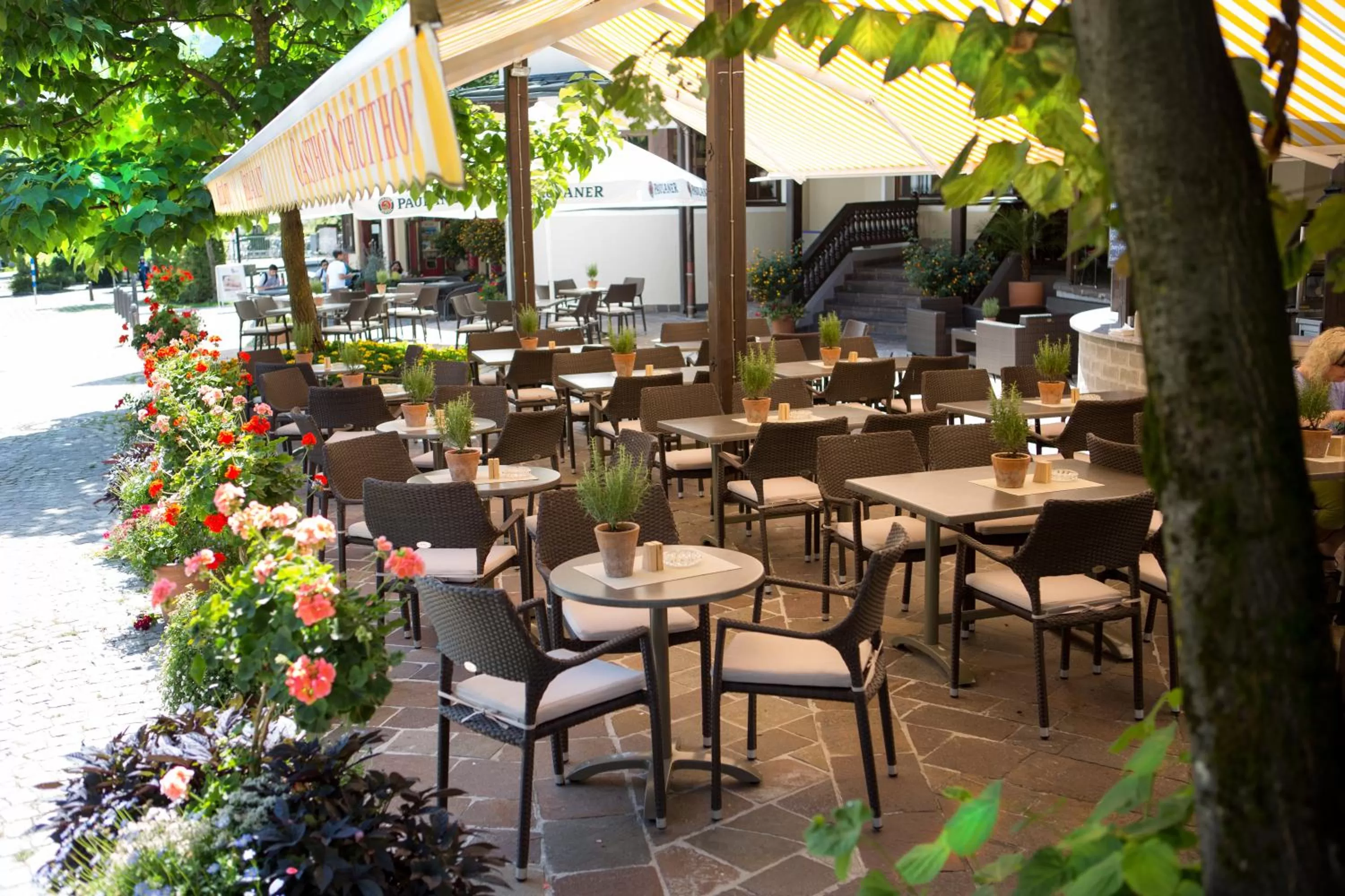 Restaurant/places to eat in Hotel Latini