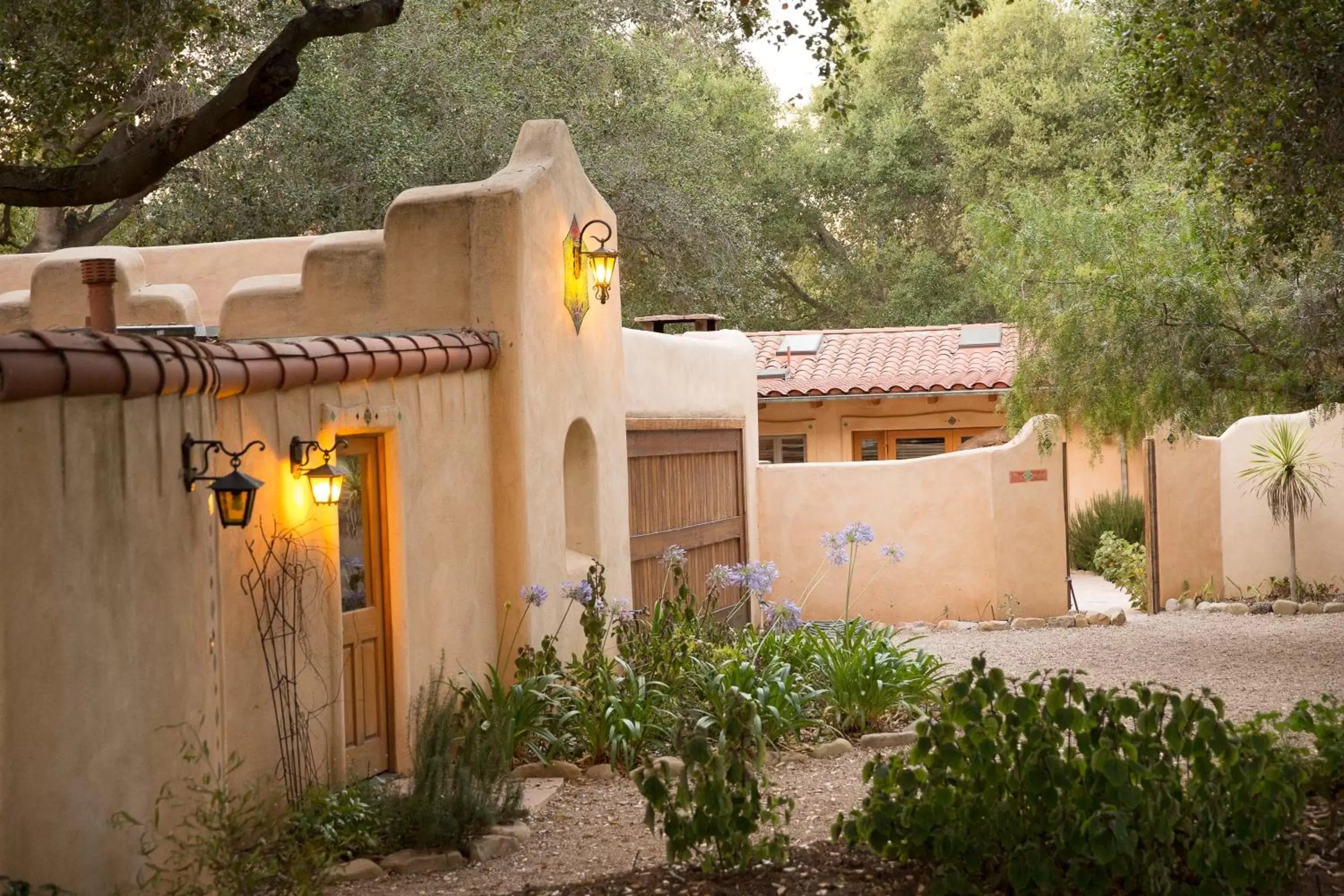 Property Building in Blue Iguana Inn