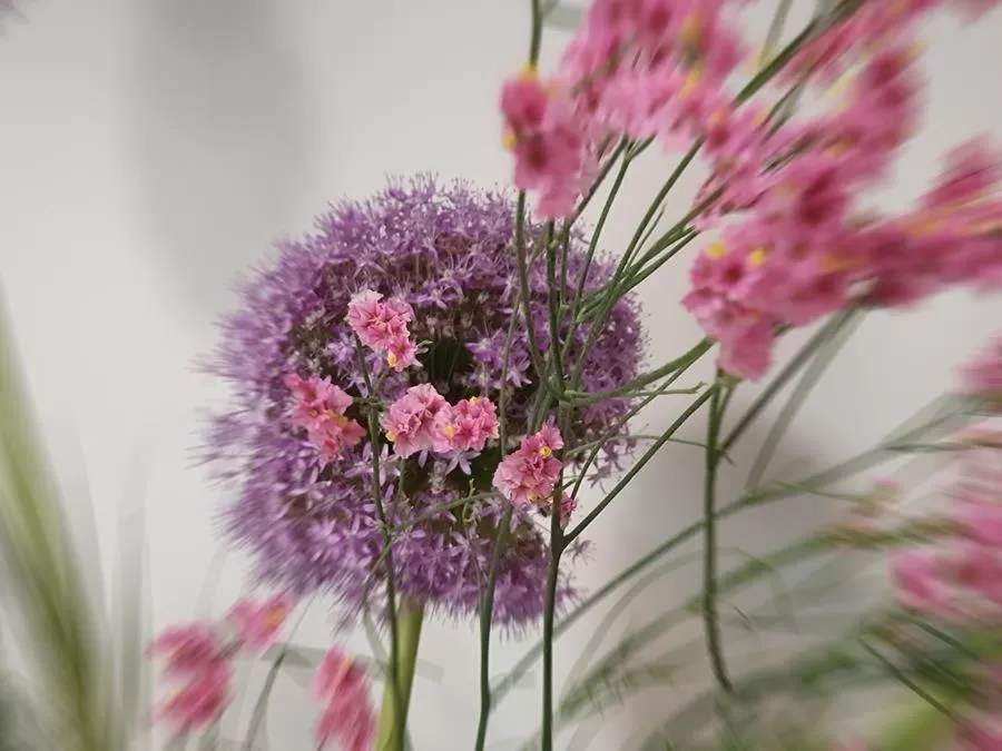 Spring in artHOTEL Bremen