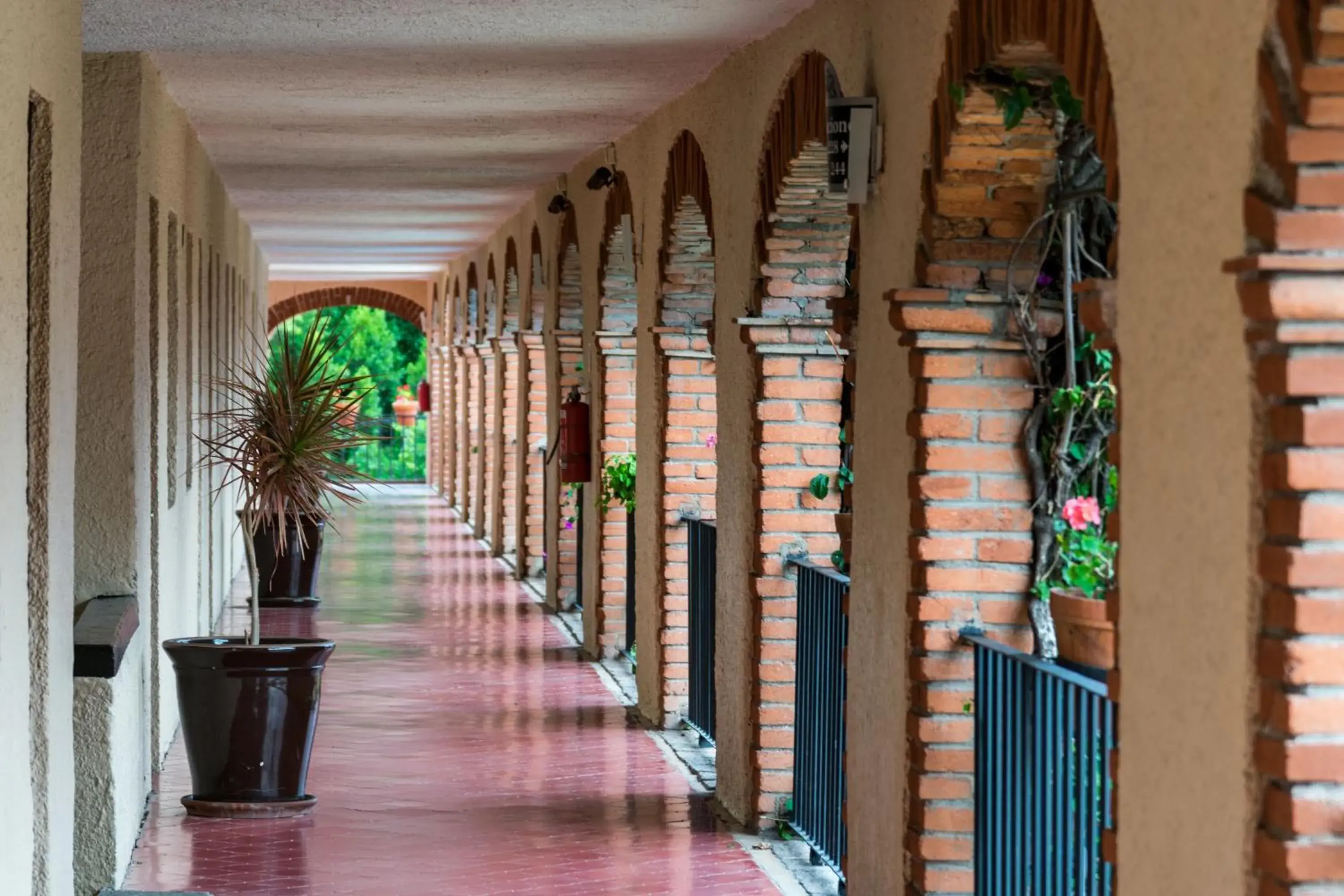 Area and facilities in Hotel Abadia Plaza