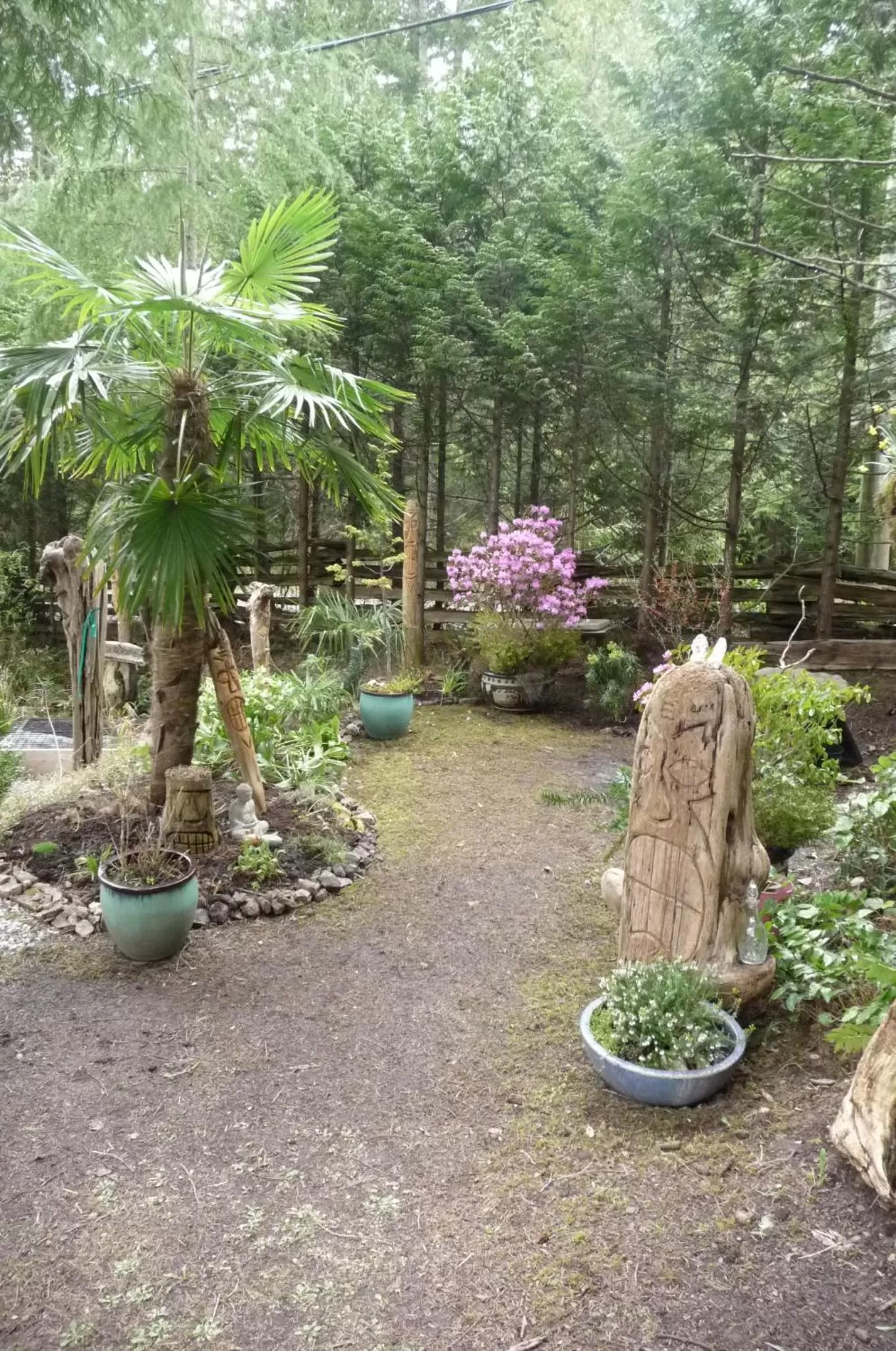 Garden in Magnolia Petal