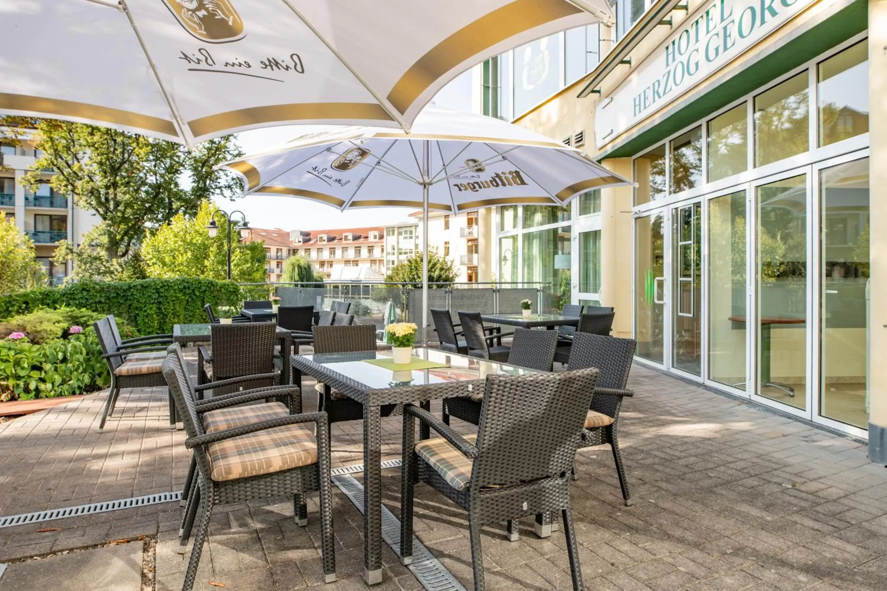 Patio, Restaurant/Places to Eat in Hotel Herzog Georg