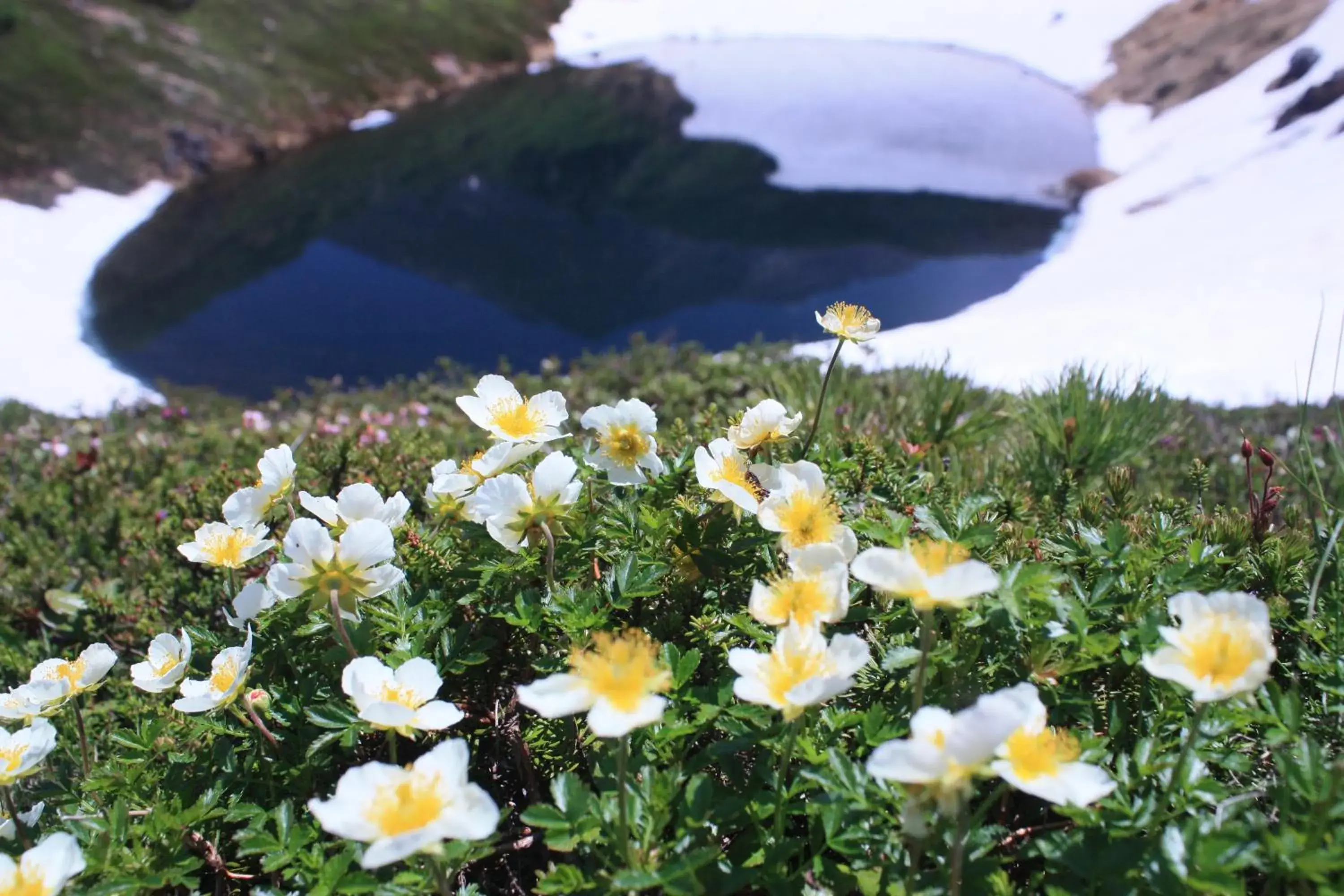 Natural landscape in Asahidake Onsen Hotel Bear Monte