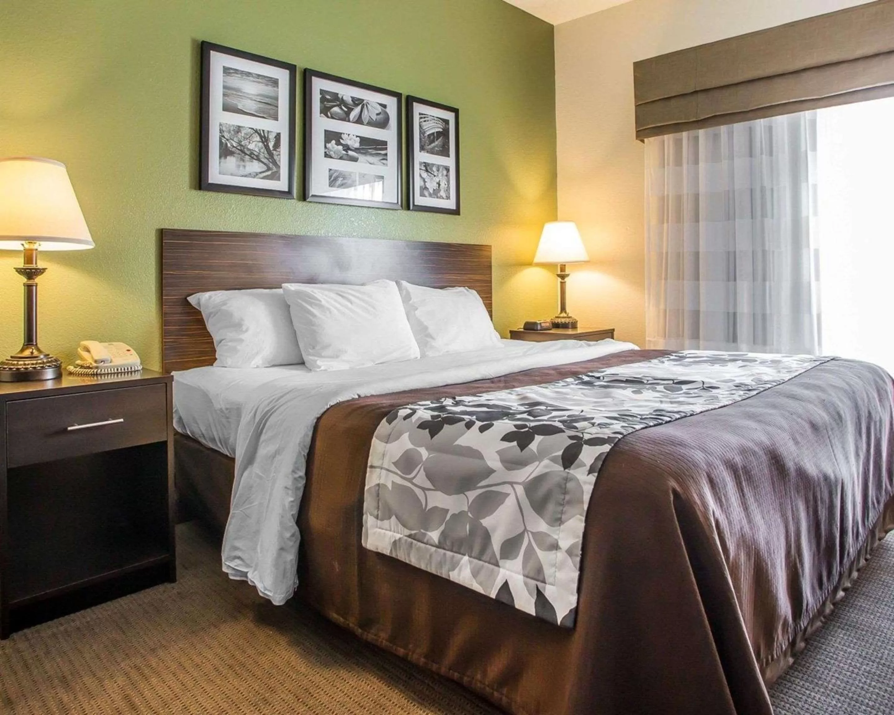 King Suite - Non-Smoking in Sleep Inn & Suites Wisconsin Rapids