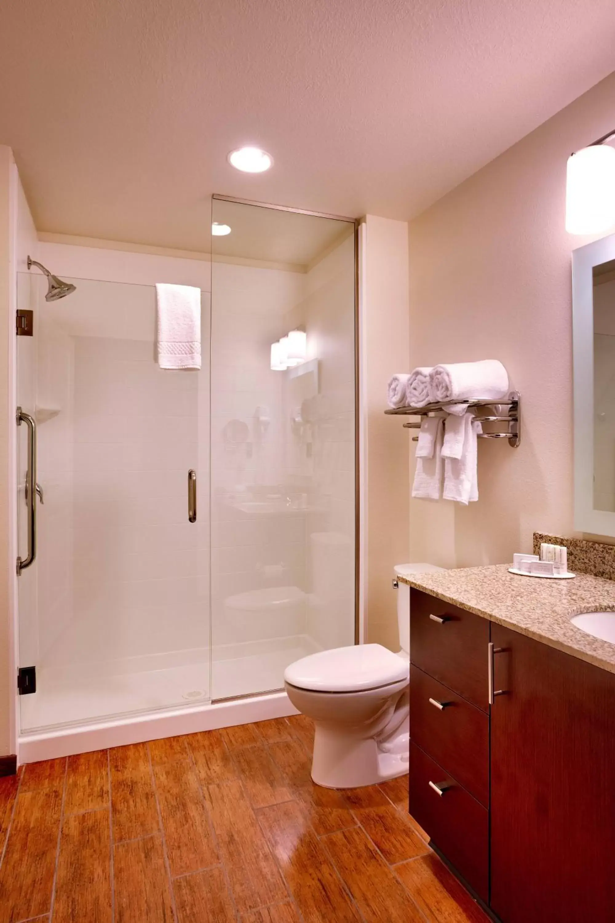 Bathroom in TownePlace Suites by Marriott Salt Lake City-West Valley