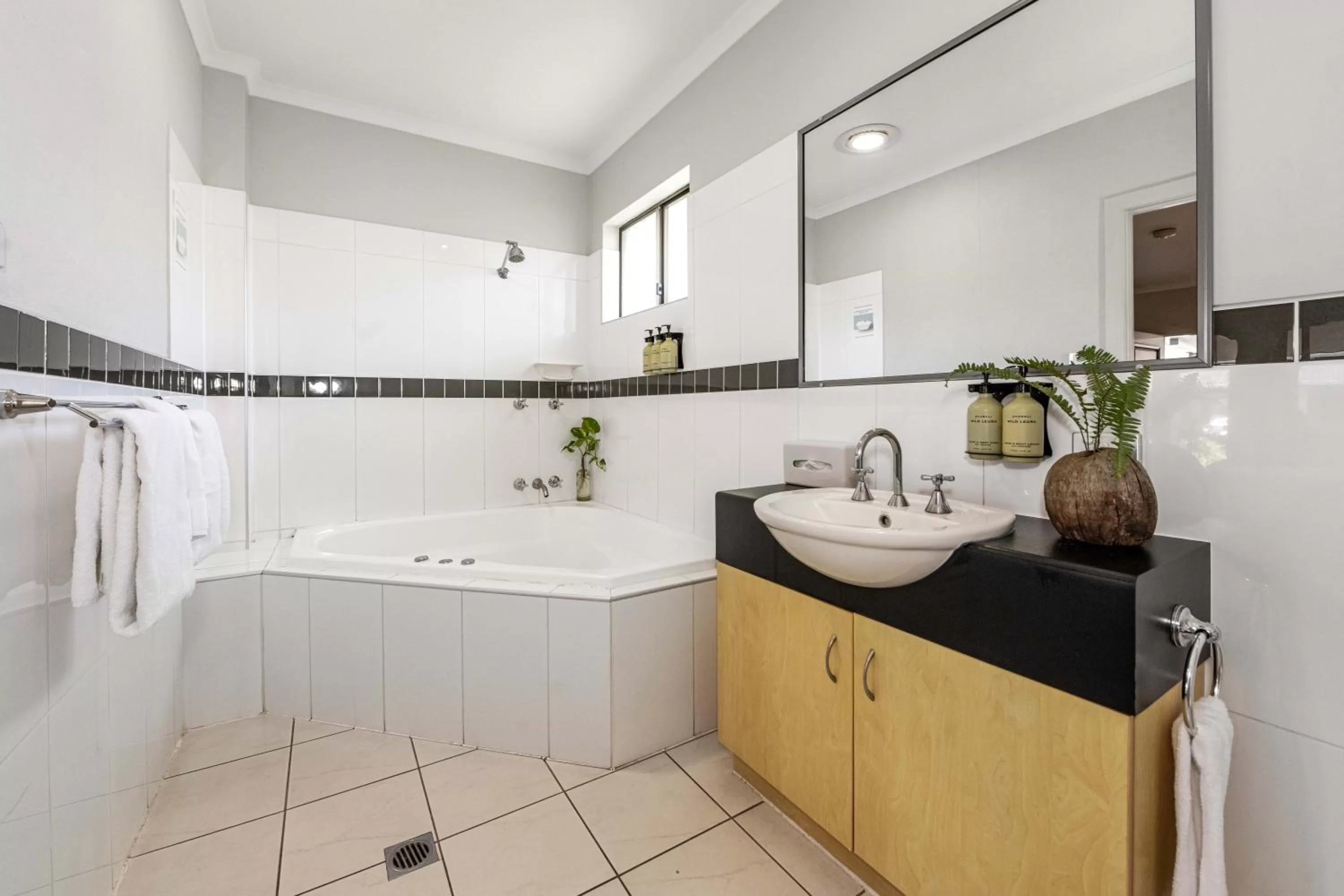 Shower in Alara Motor Inn