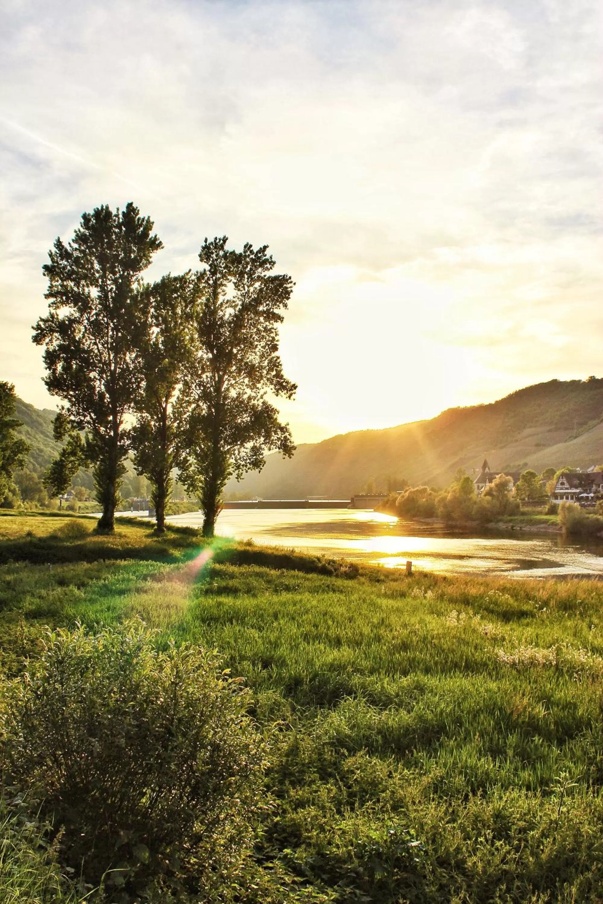 Natural landscape in Hotel Ostermann