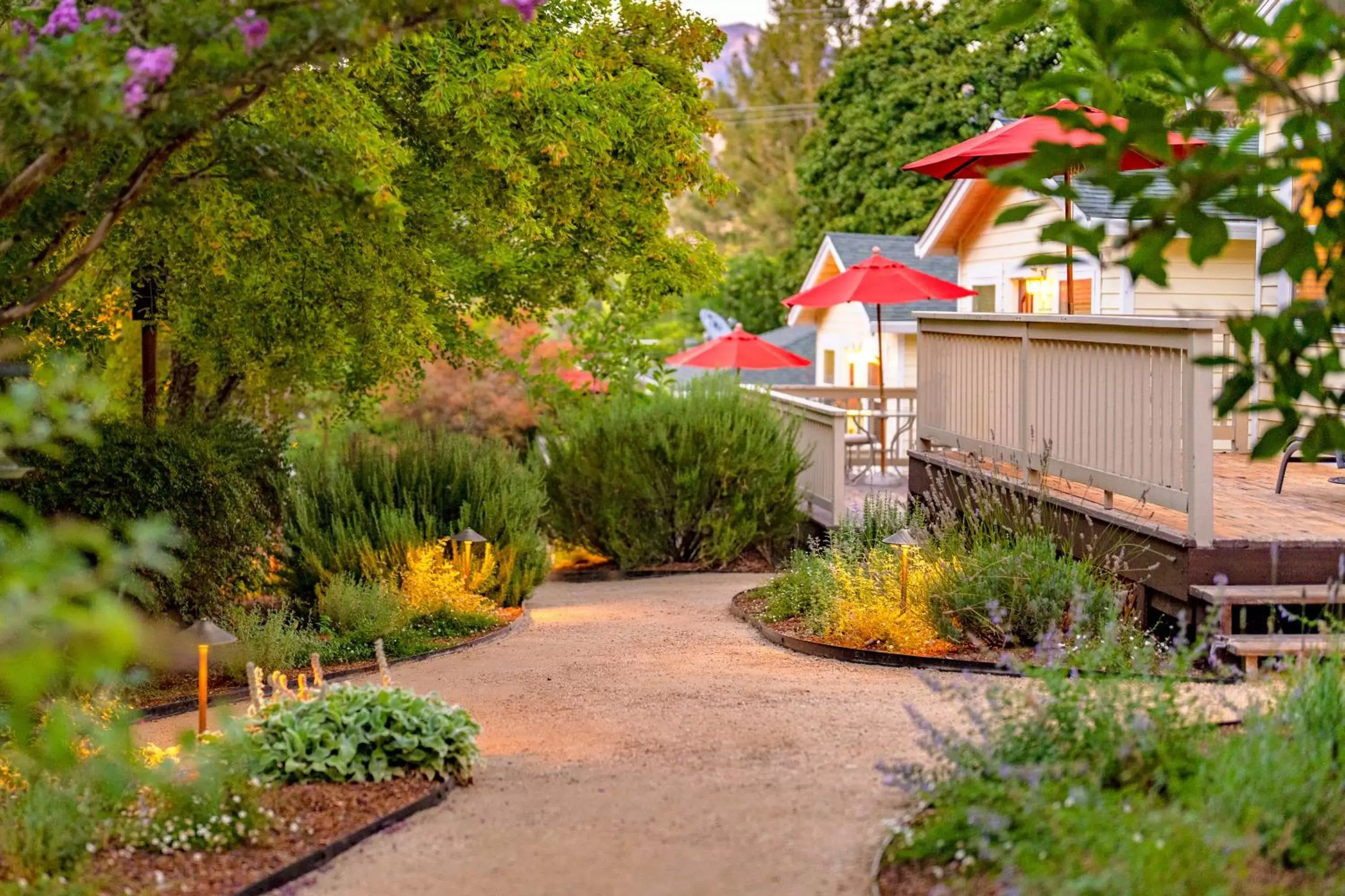 Garden view, Property Building in Aurora Park Cottages