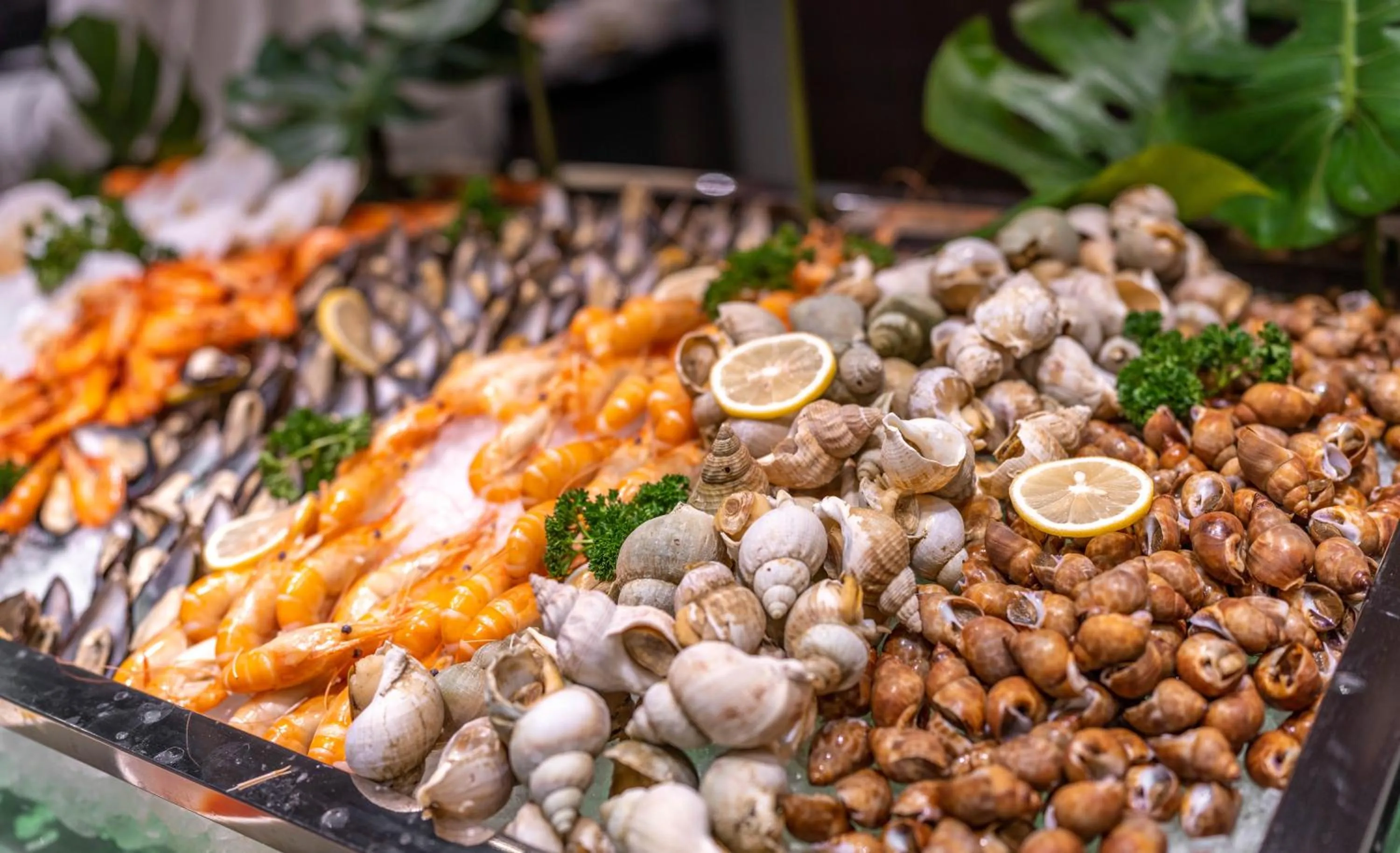 Restaurant/places to eat, Food in Shangri-La Hotel, Wuhan