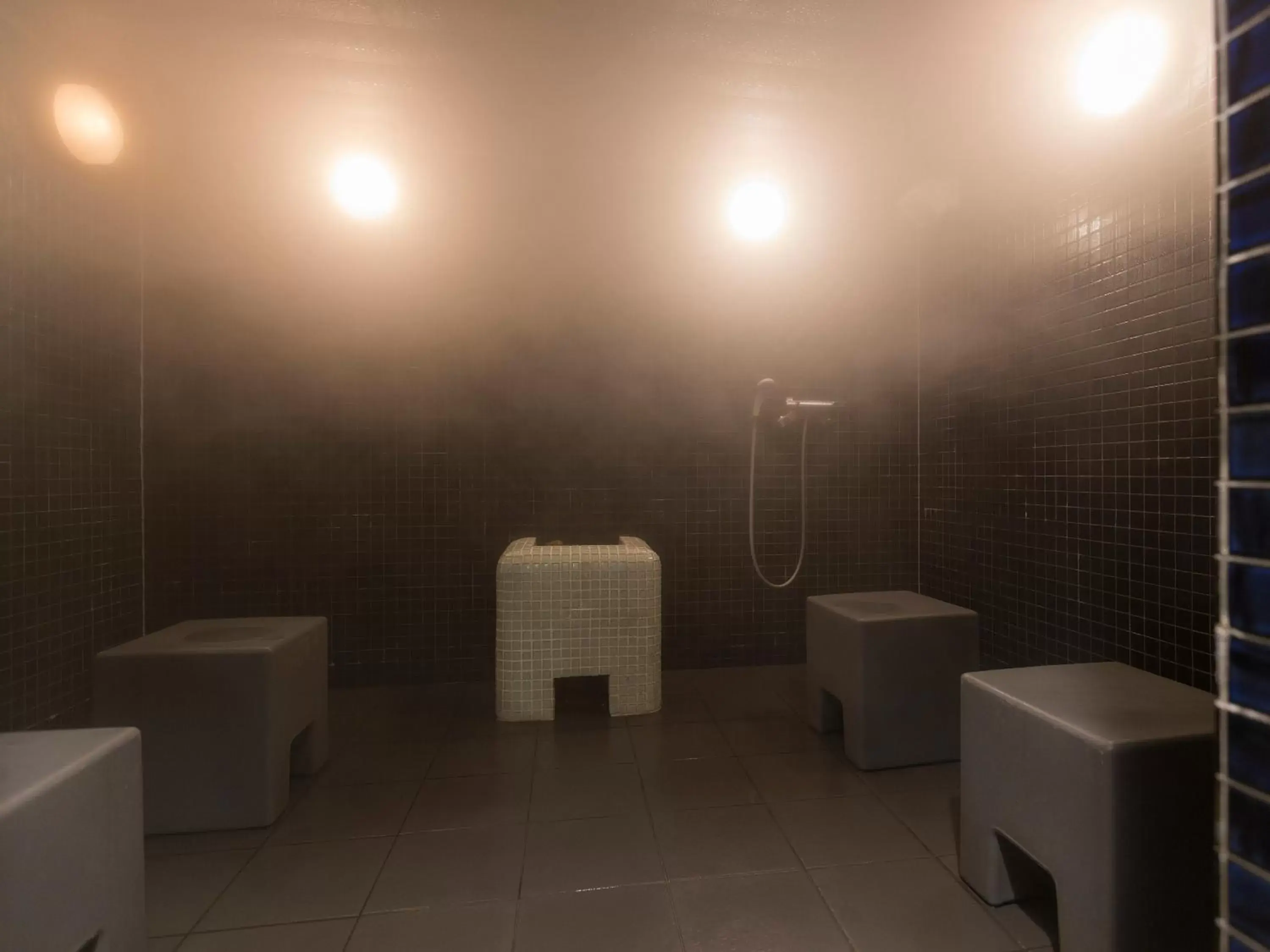 Steam room in Himeji Castle Grandvrio Hotel