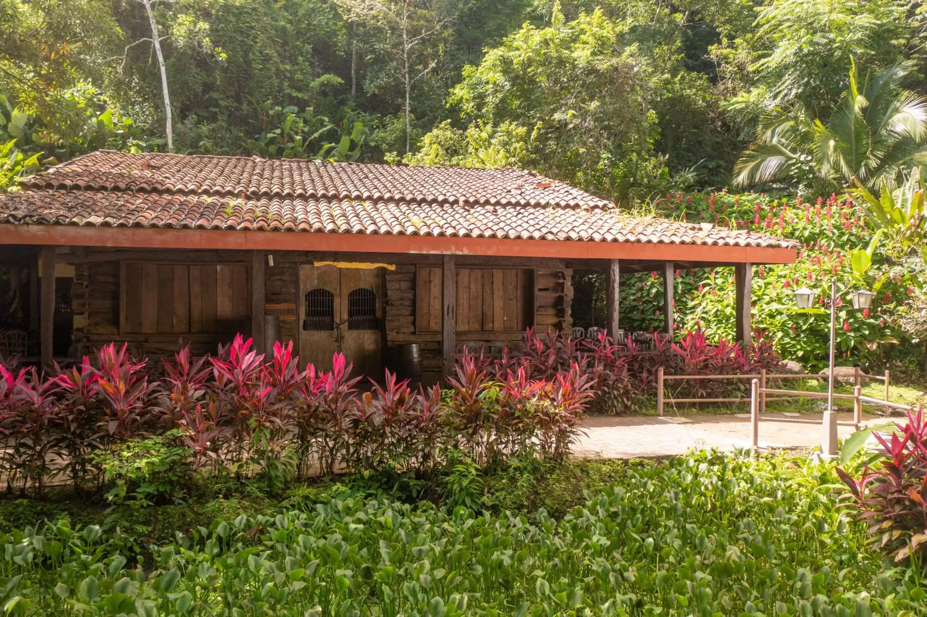 Property Building in Villa Lapas Jungle Village