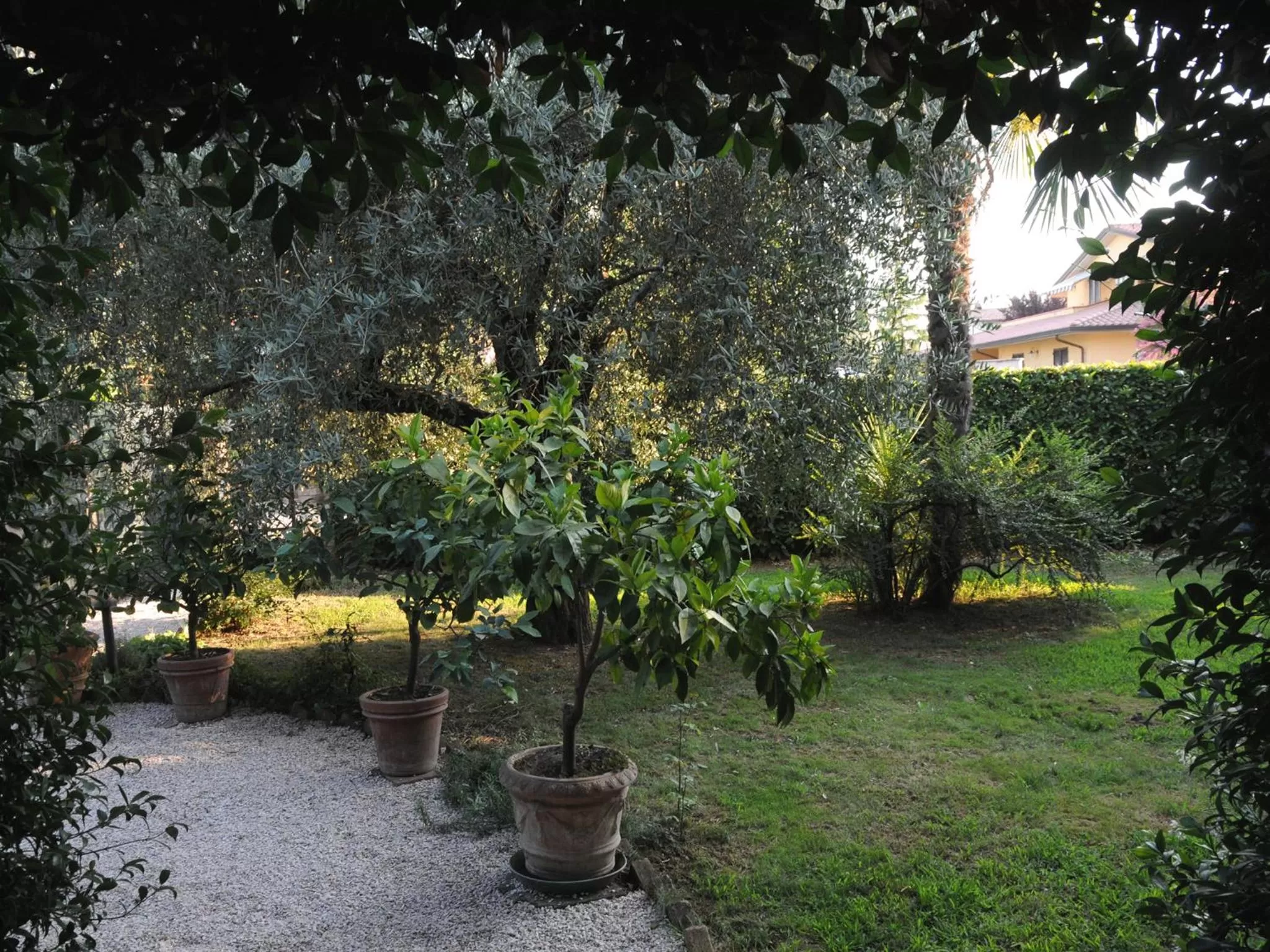 Garden in B&B Luce Riflessa