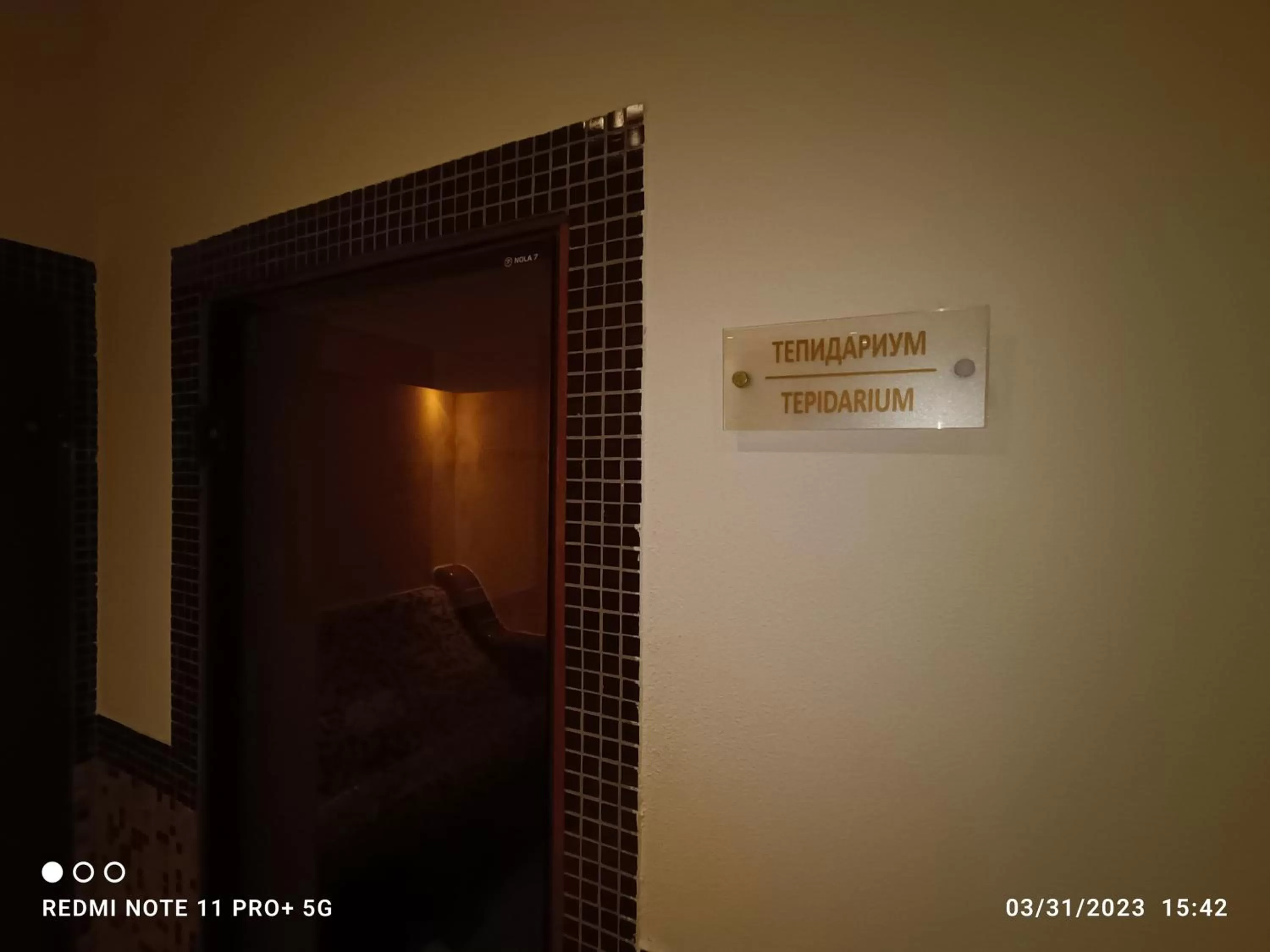 Sauna in Studio D06, Green Life Bansko
