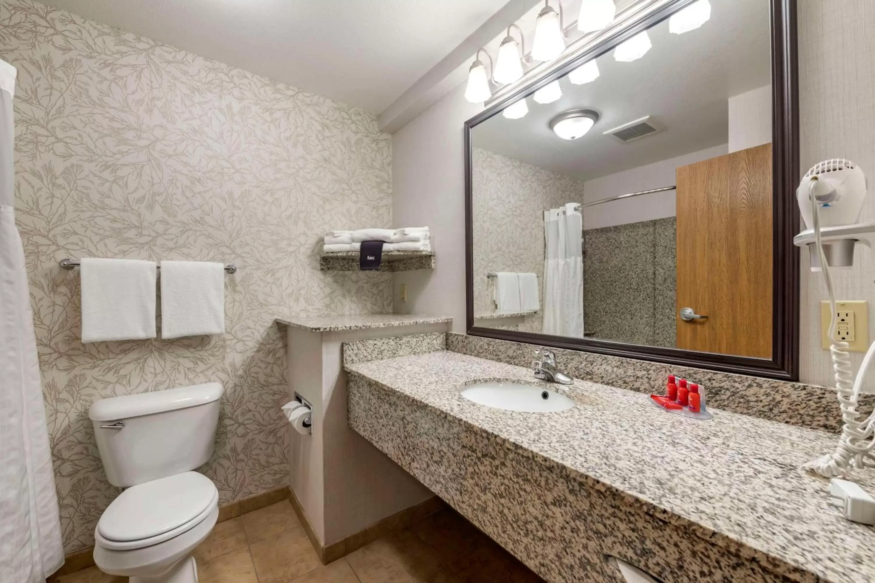 Bathroom in SureStay Plus Hotel by Best Western Buffalo