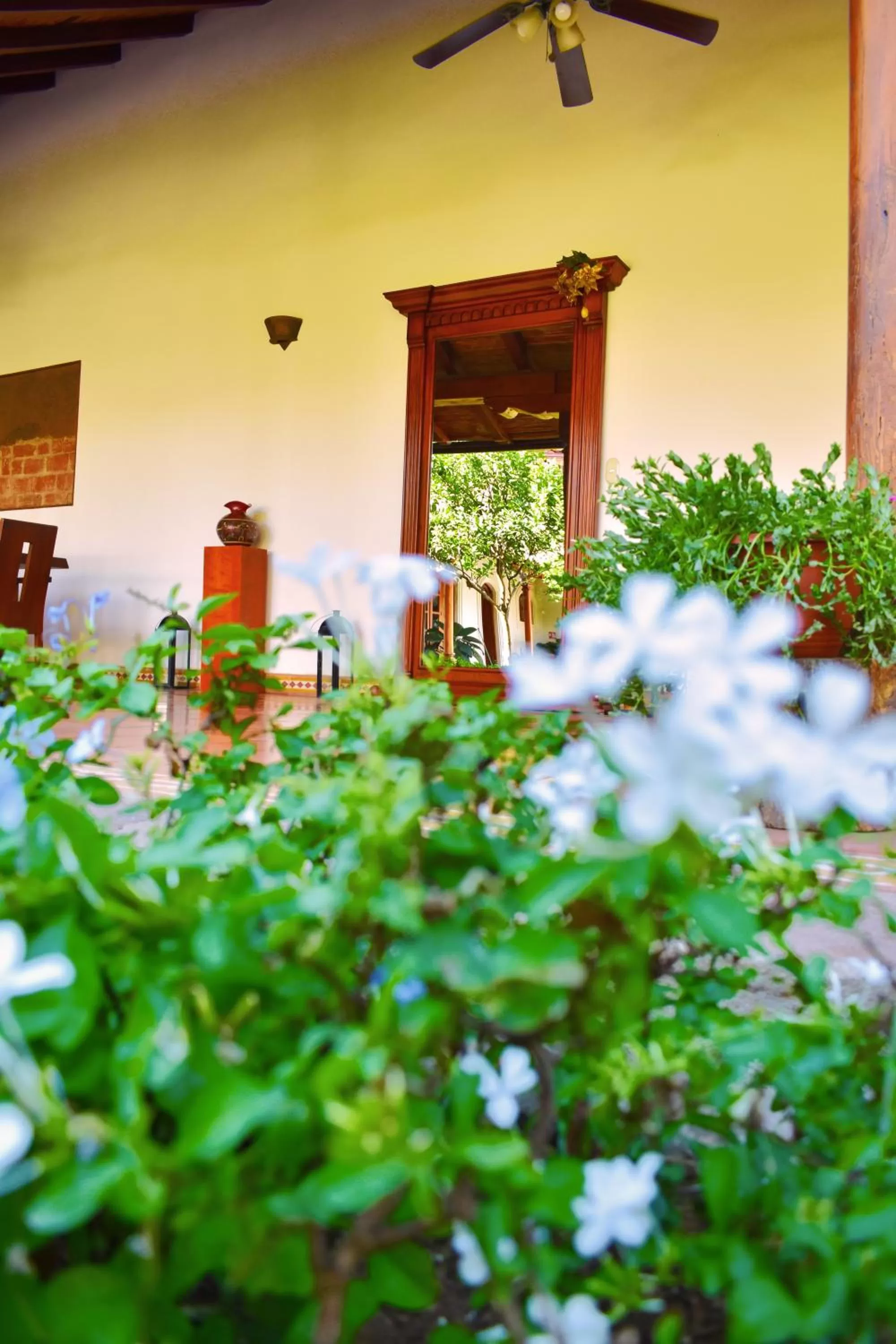 Other in Hotel Boutique Adela