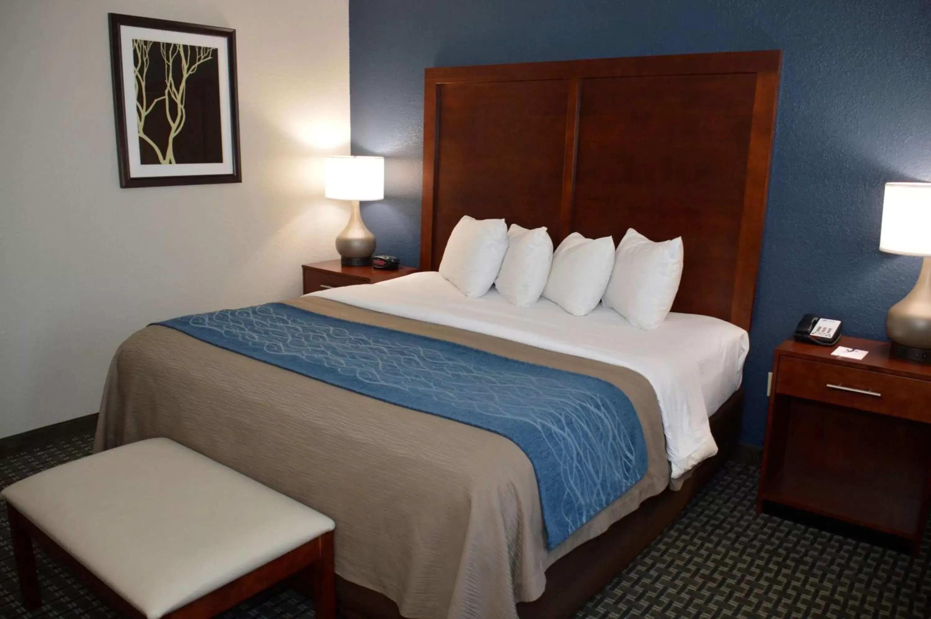 Photo of the whole room, Bed in Best Western Northwest Corpus Christi Inn & Suites