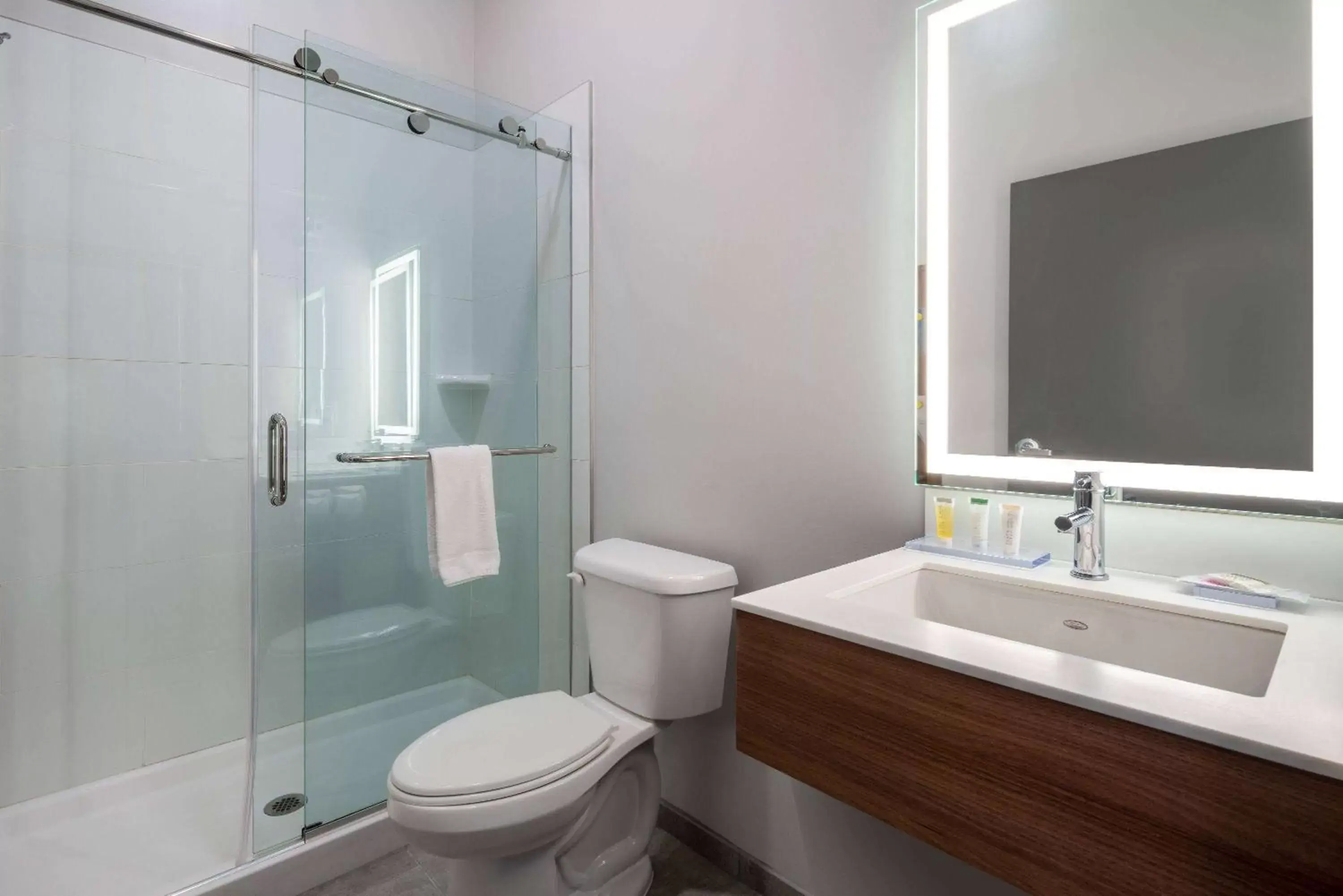Bathroom in Microtel Inn & Suites by Wyndham Winchester