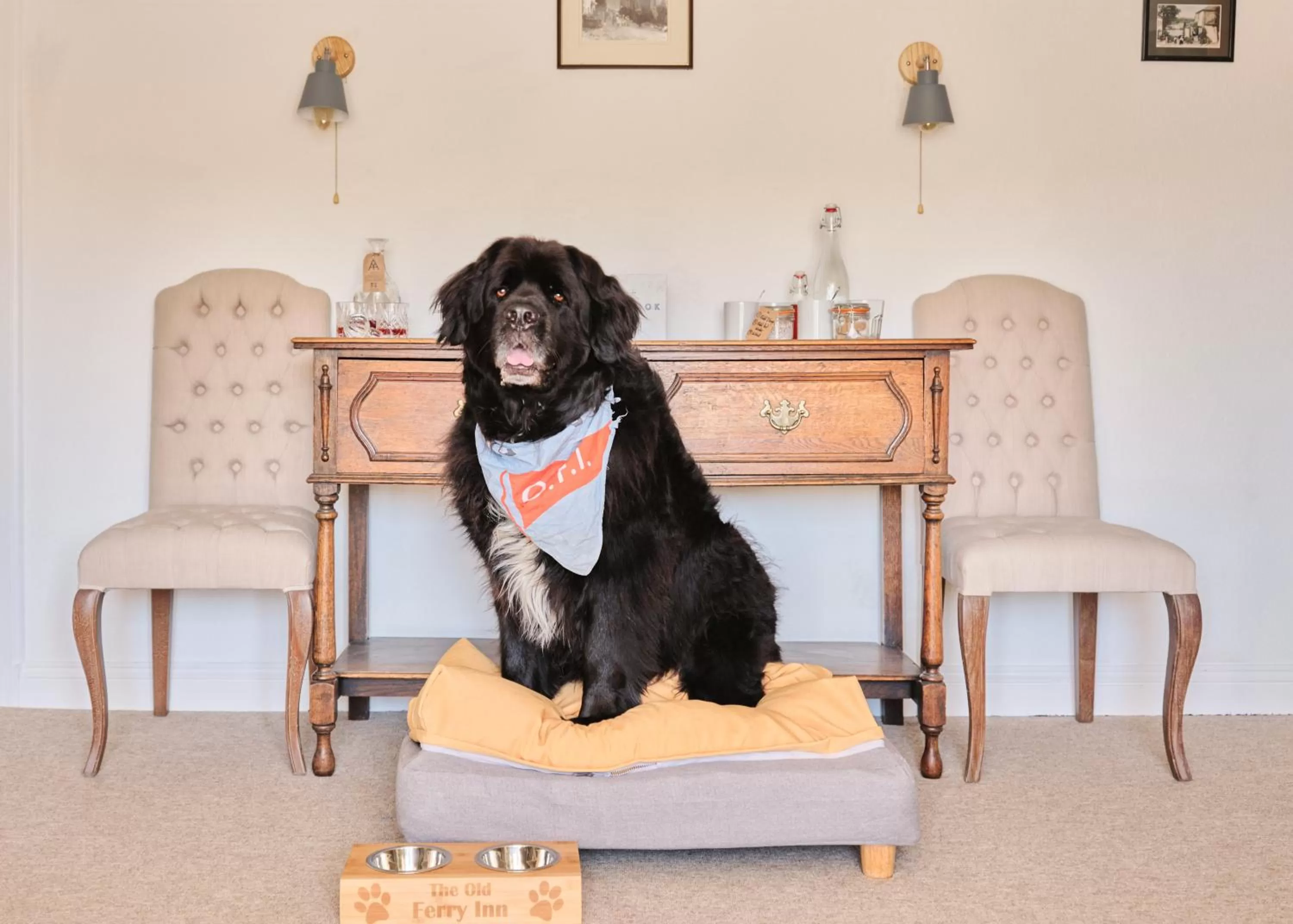 Pets in The Old Ferry Inn