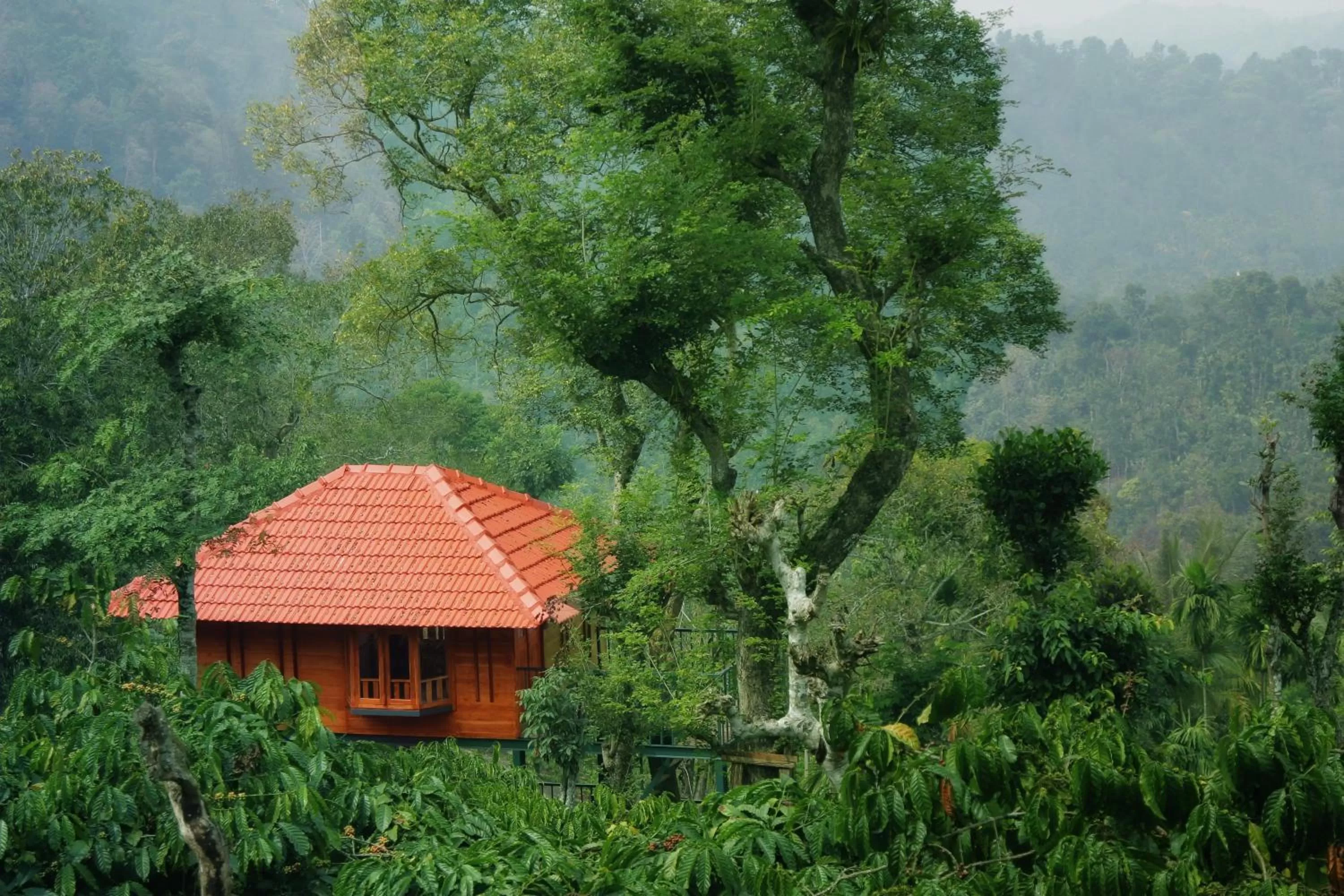 View (from property/room) in Marmalade Springs Resort Wayanad