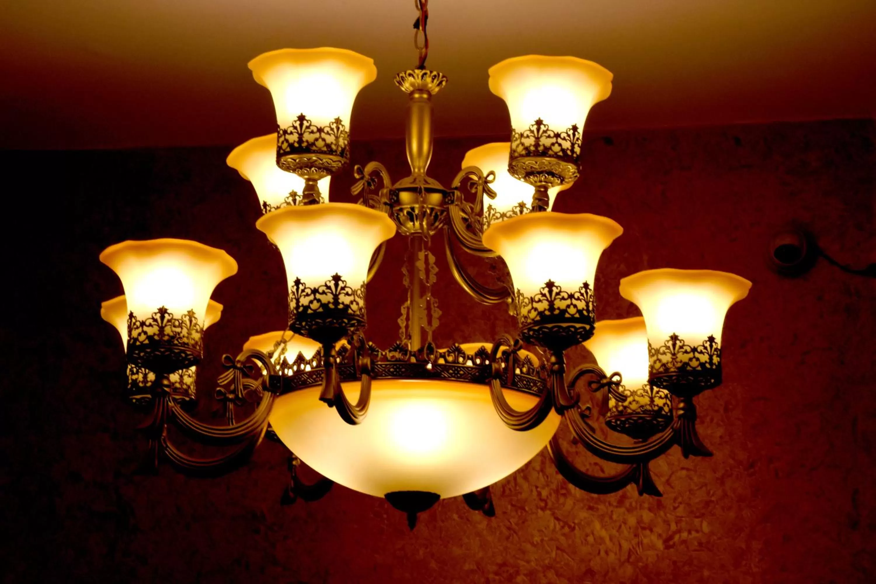 Banquet/Function facilities in Hotel The Pride