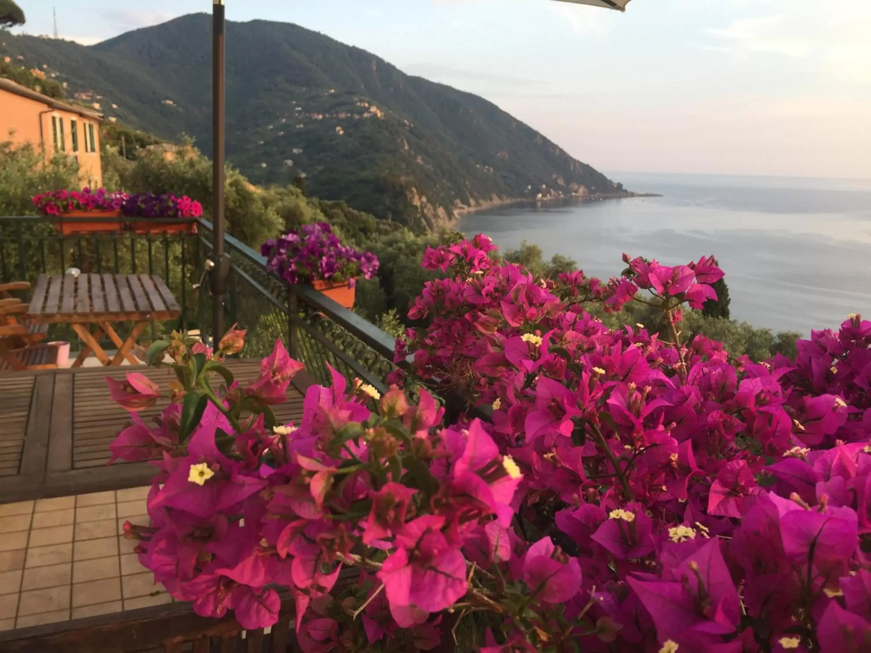 Balcony/Terrace in B&B Case Rosse