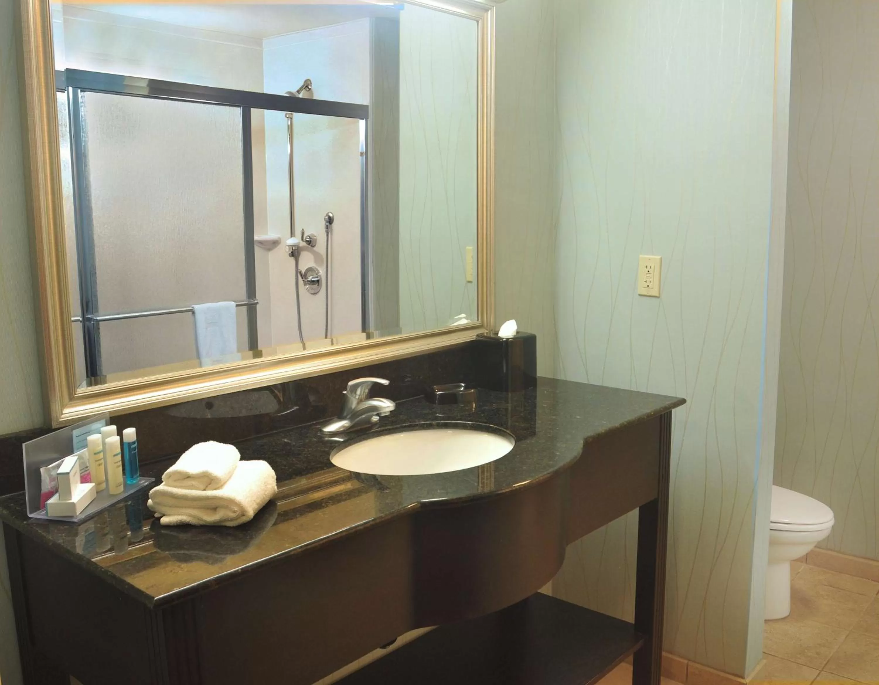 Bathroom in Hampton Inn Gadsden/Attalla Interstate 59