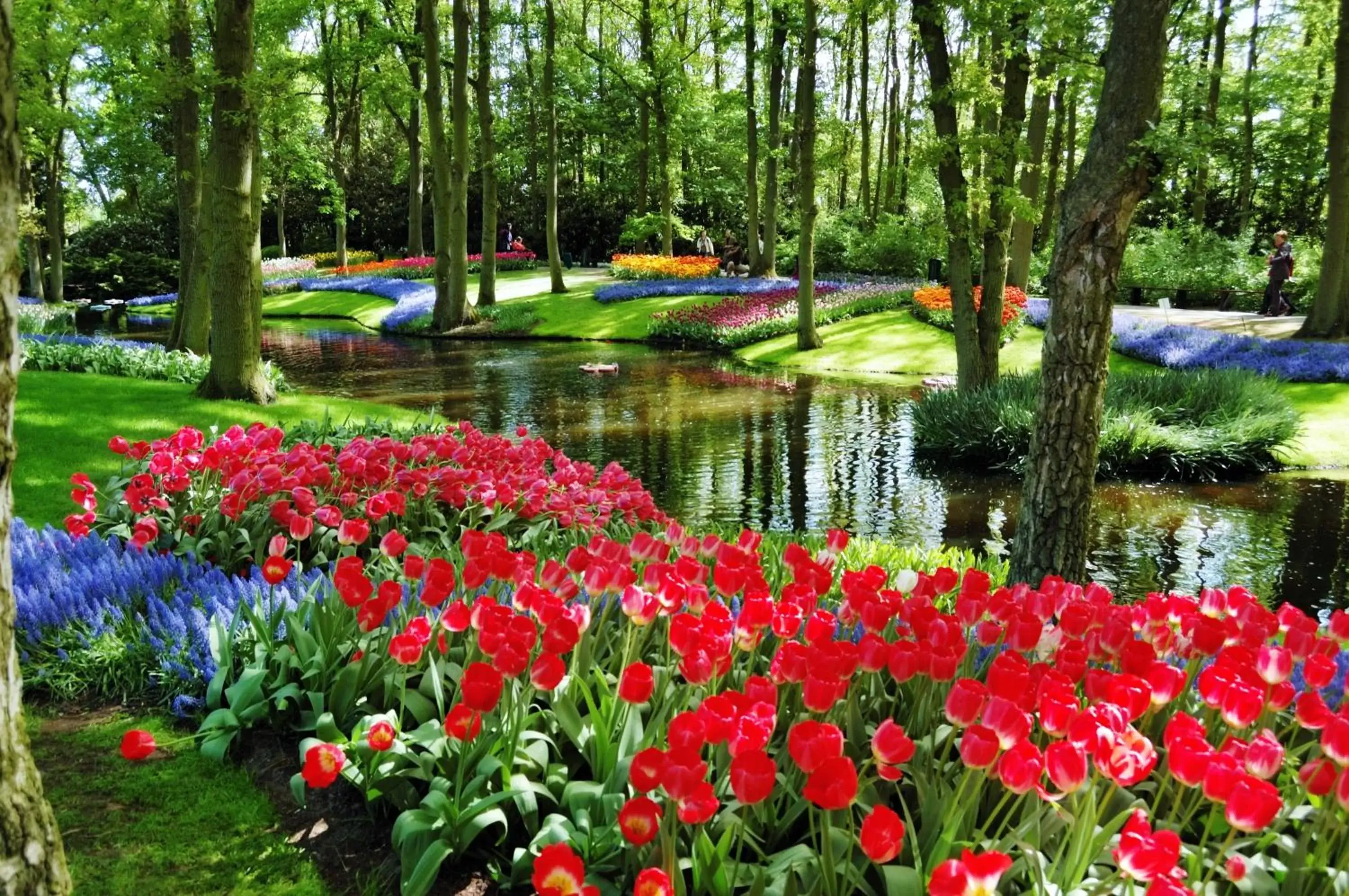 Area and facilities, Garden in Golden Tulip Leiden Centre