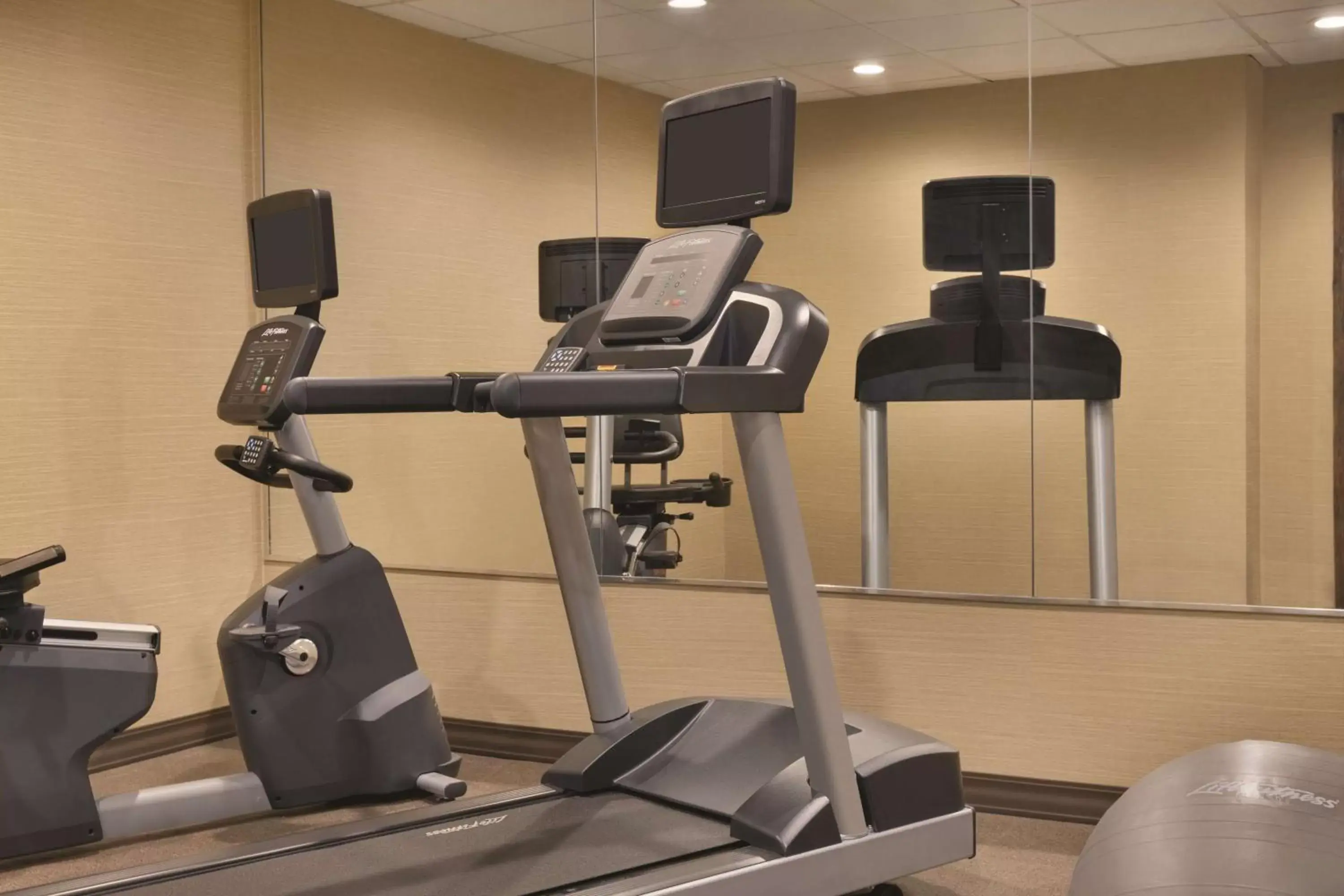 Activities, Fitness Center/Facilities in Radisson Hotel Grand Rapids Riverfront