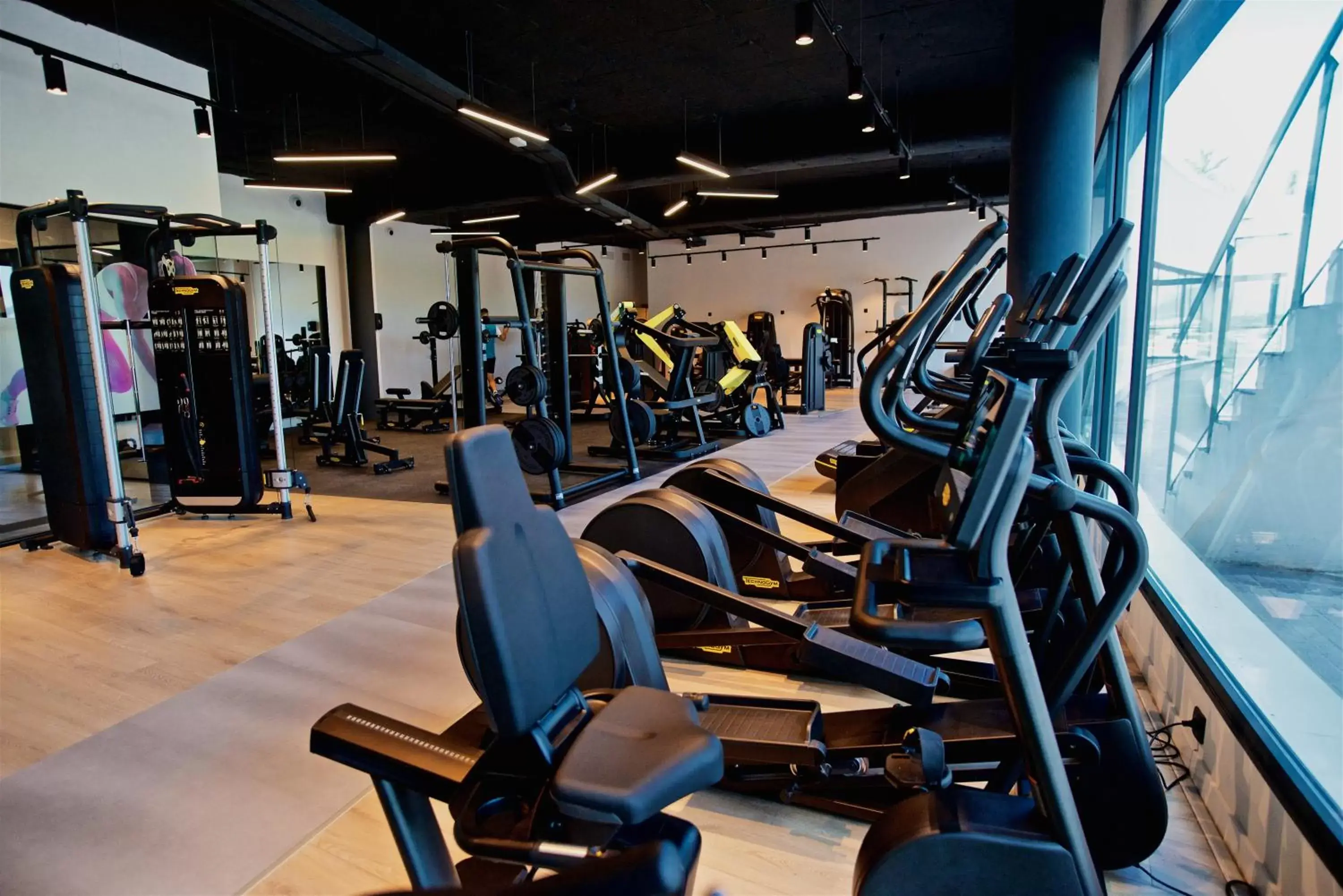 Fitness centre/facilities, Fitness Center/Facilities in Syncrosfera Fitness & Health Hotel Boutique