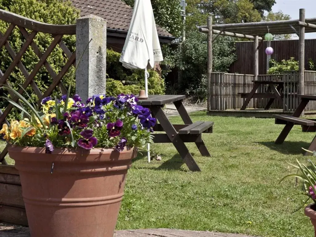 Activities, Garden in Marsham Arms Inn