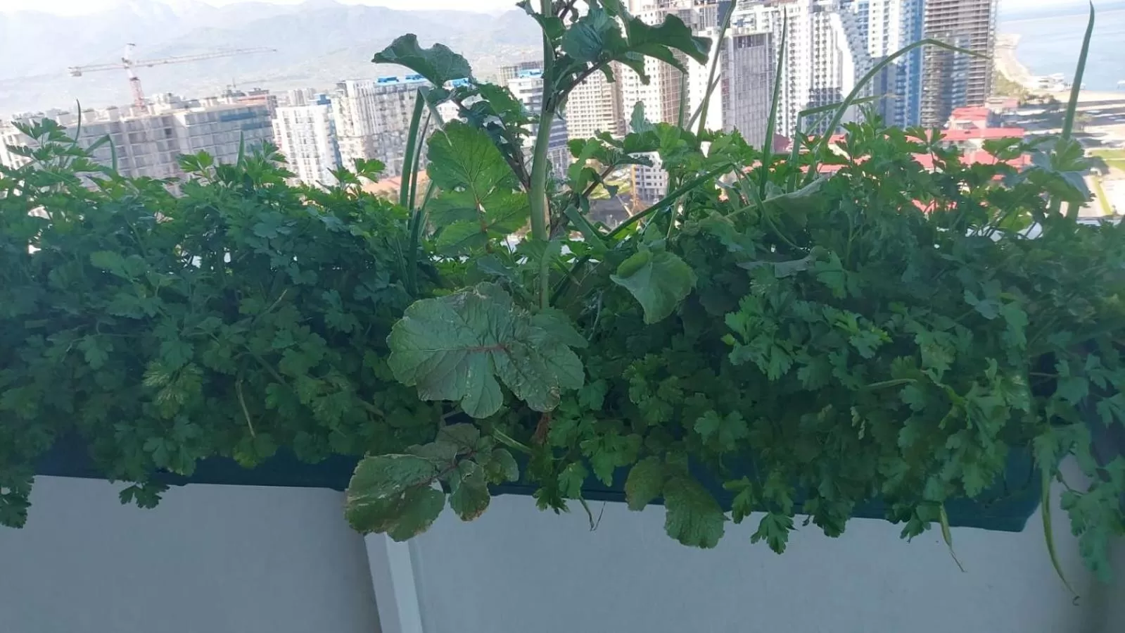 Property building in PURE WELLNESS SEA-VIEW Beluga & Dolphin Luxury HOTEL apartments