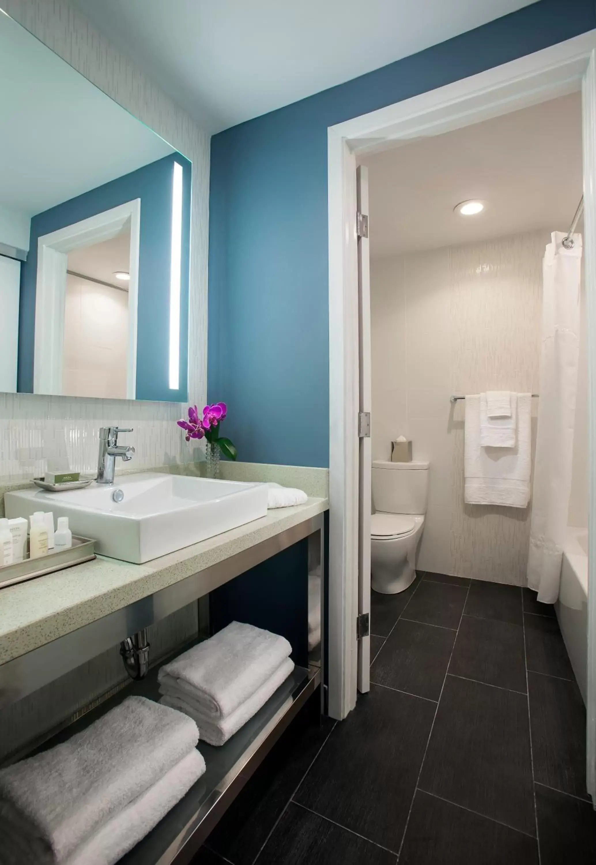 Toilet, Bathroom in B Resort and Spa Located in Disney Springs Resort Area